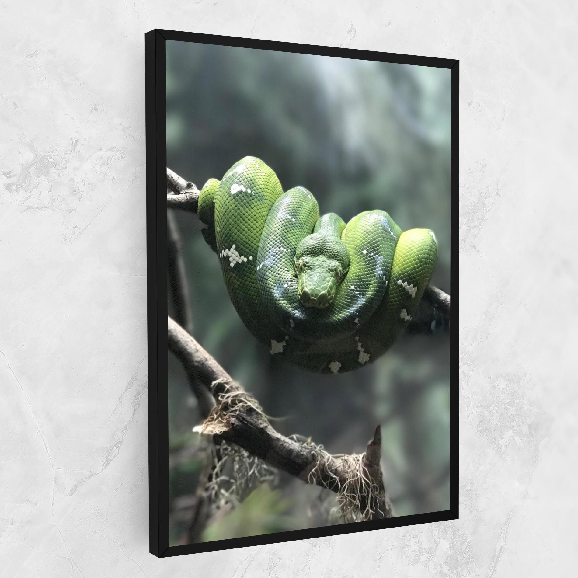 Sleepy Snake mockup 1
