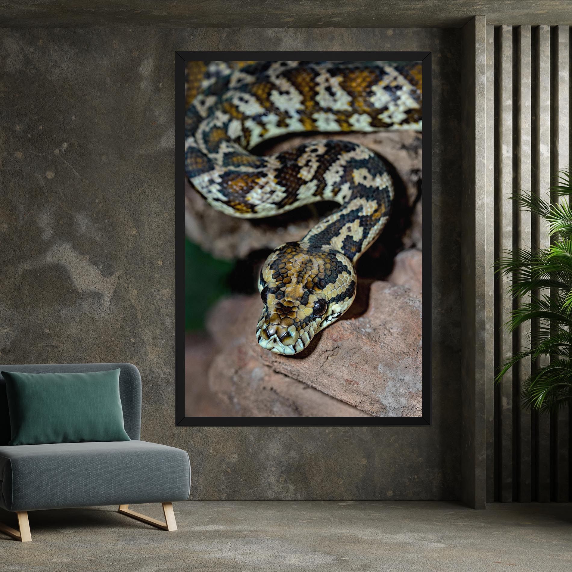King Snake mockup 7