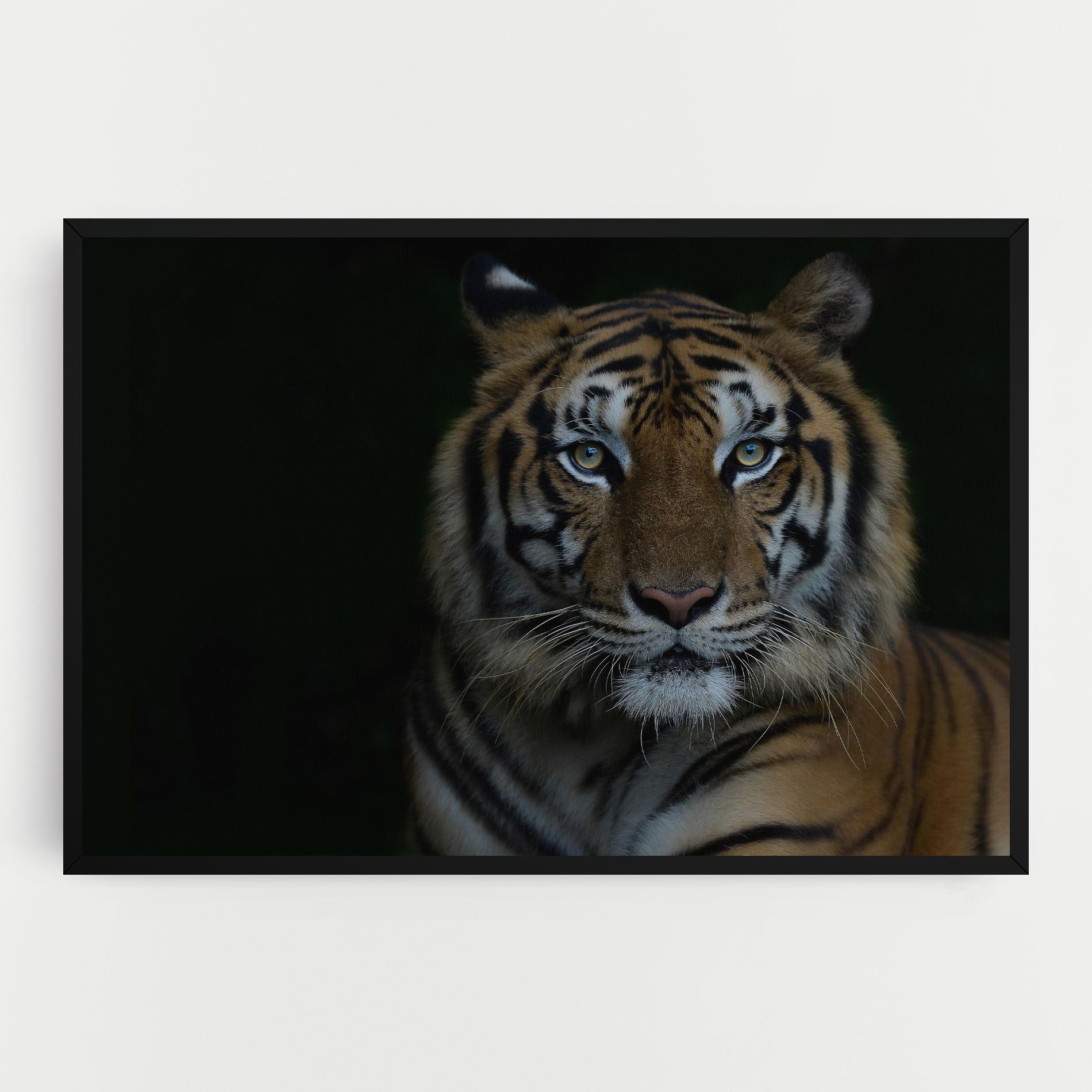 Close Up Tiger mockup 0