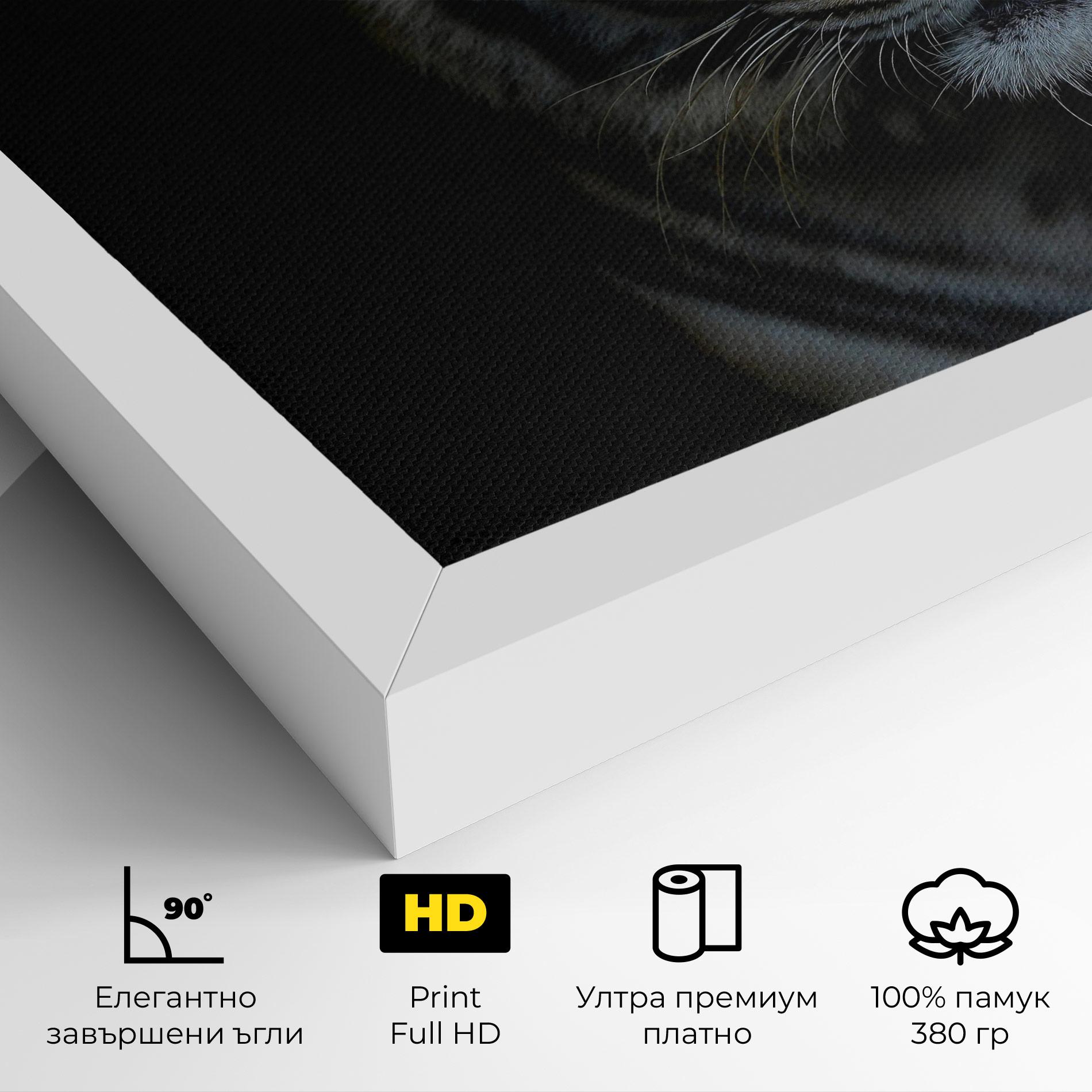Картина на платно Close Up Tiger mockup 4