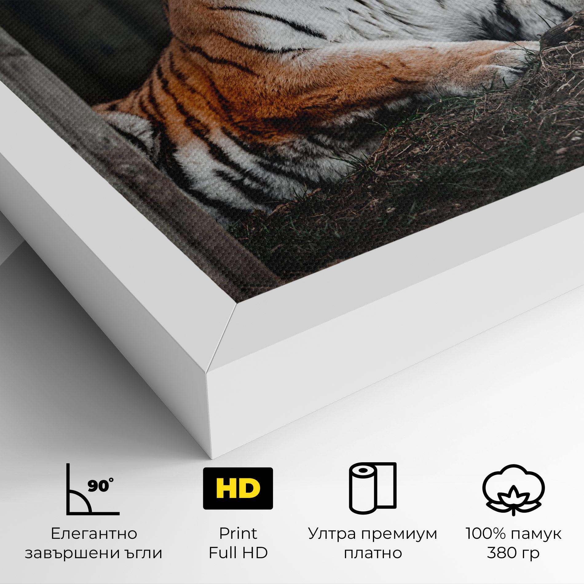Картина на платно Forest Tiger mockup 4