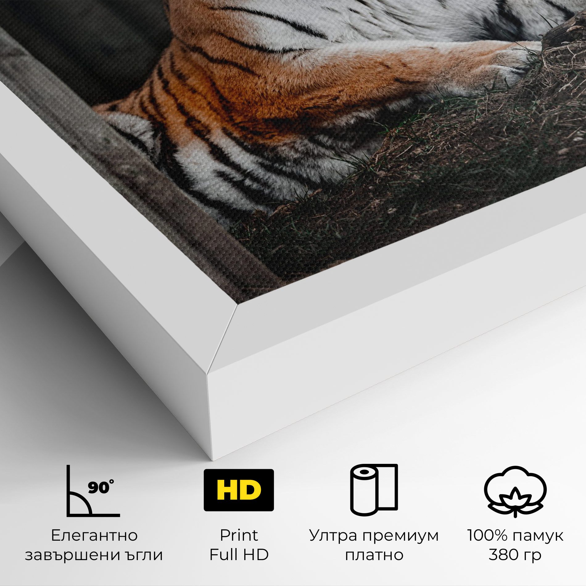 Forest Tiger mockup 4