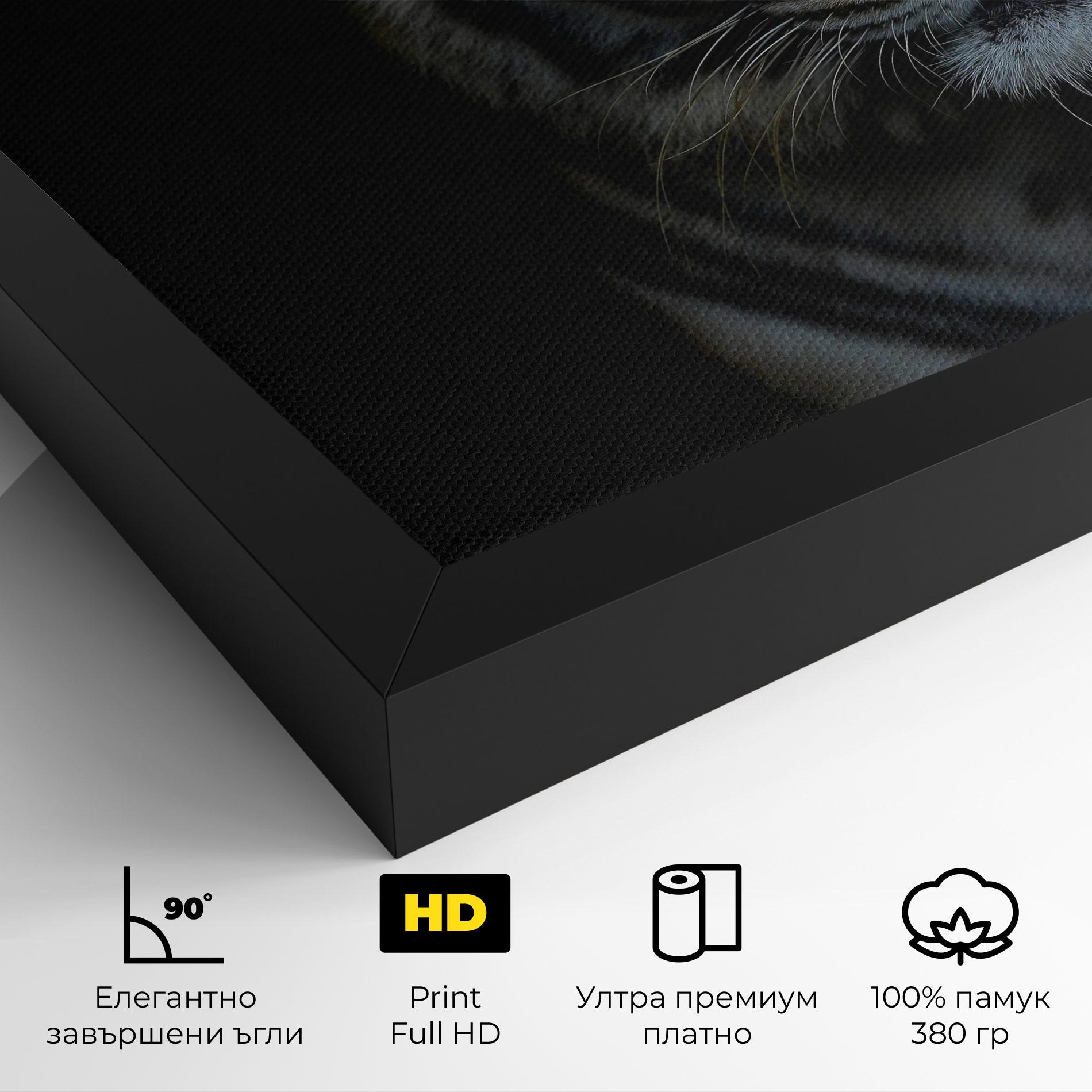 Картина на платно Close Up Tiger mockup 4