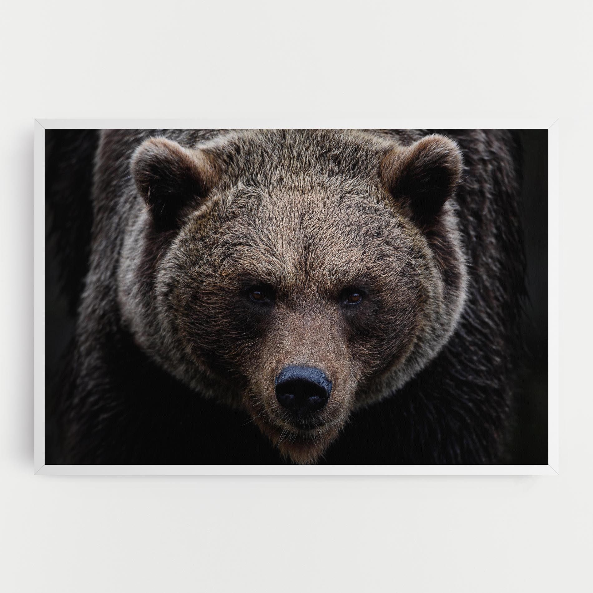 Brown Bear mockup 0