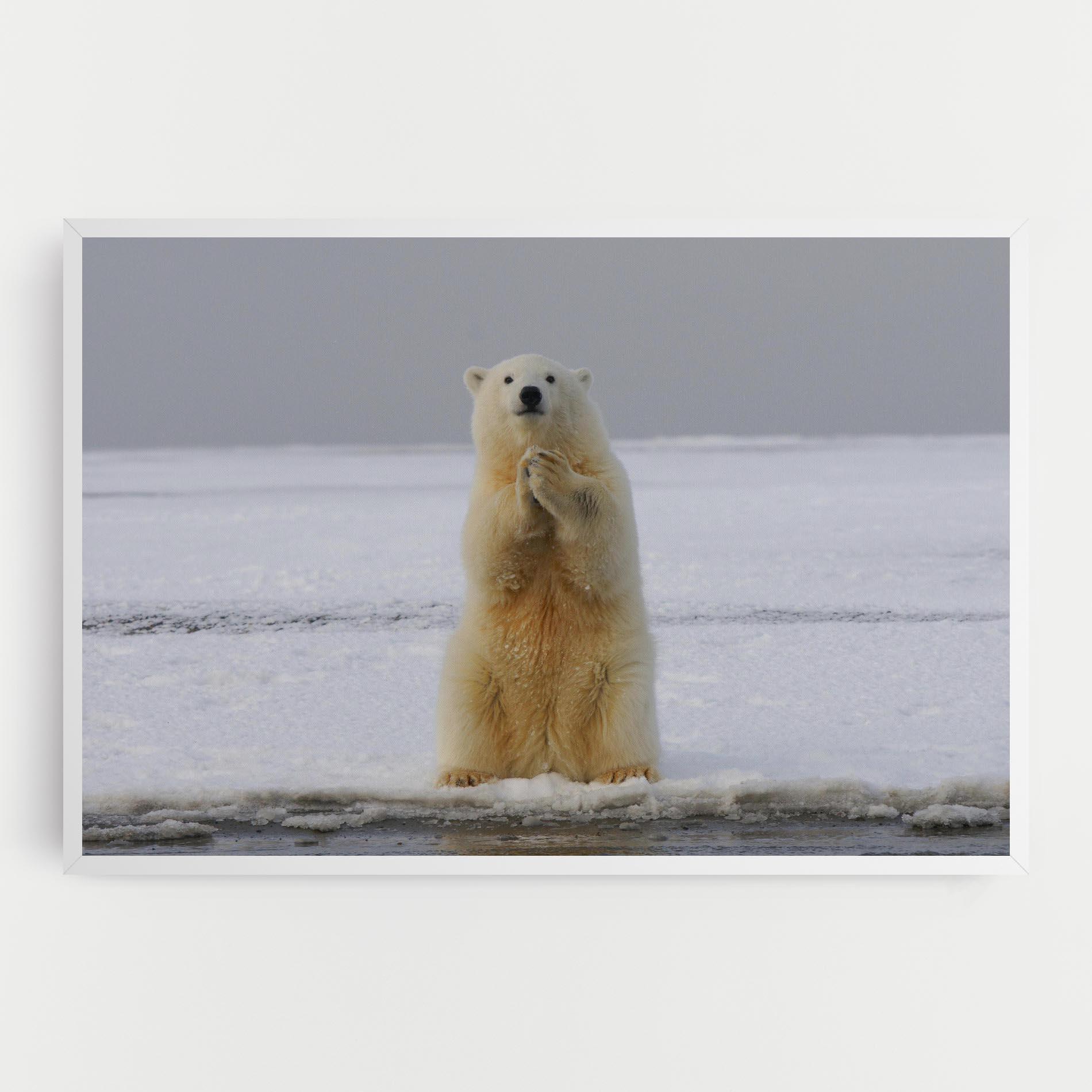 Картина на платно Icebear Praying mockup 0