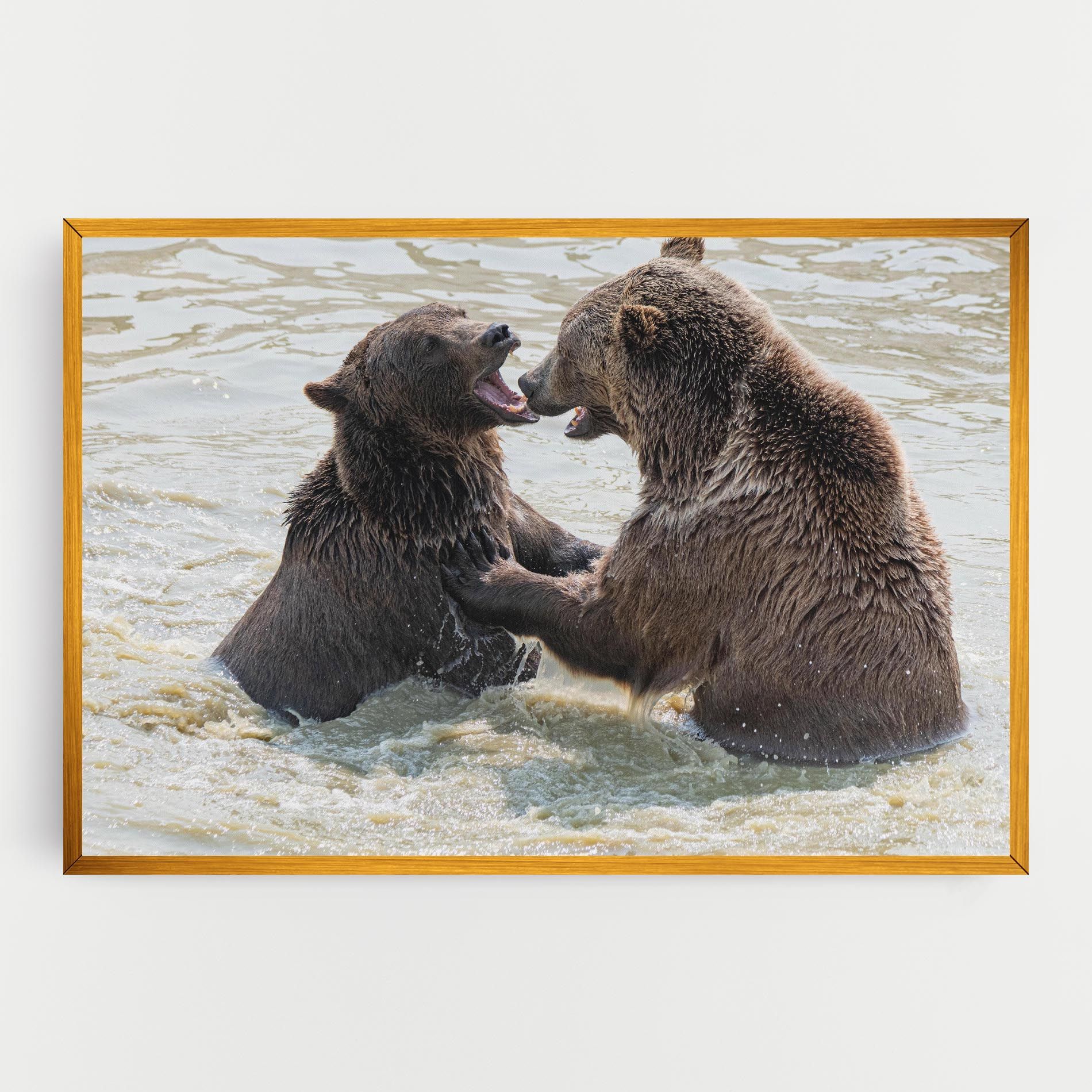 Bears Fighting mockup 0