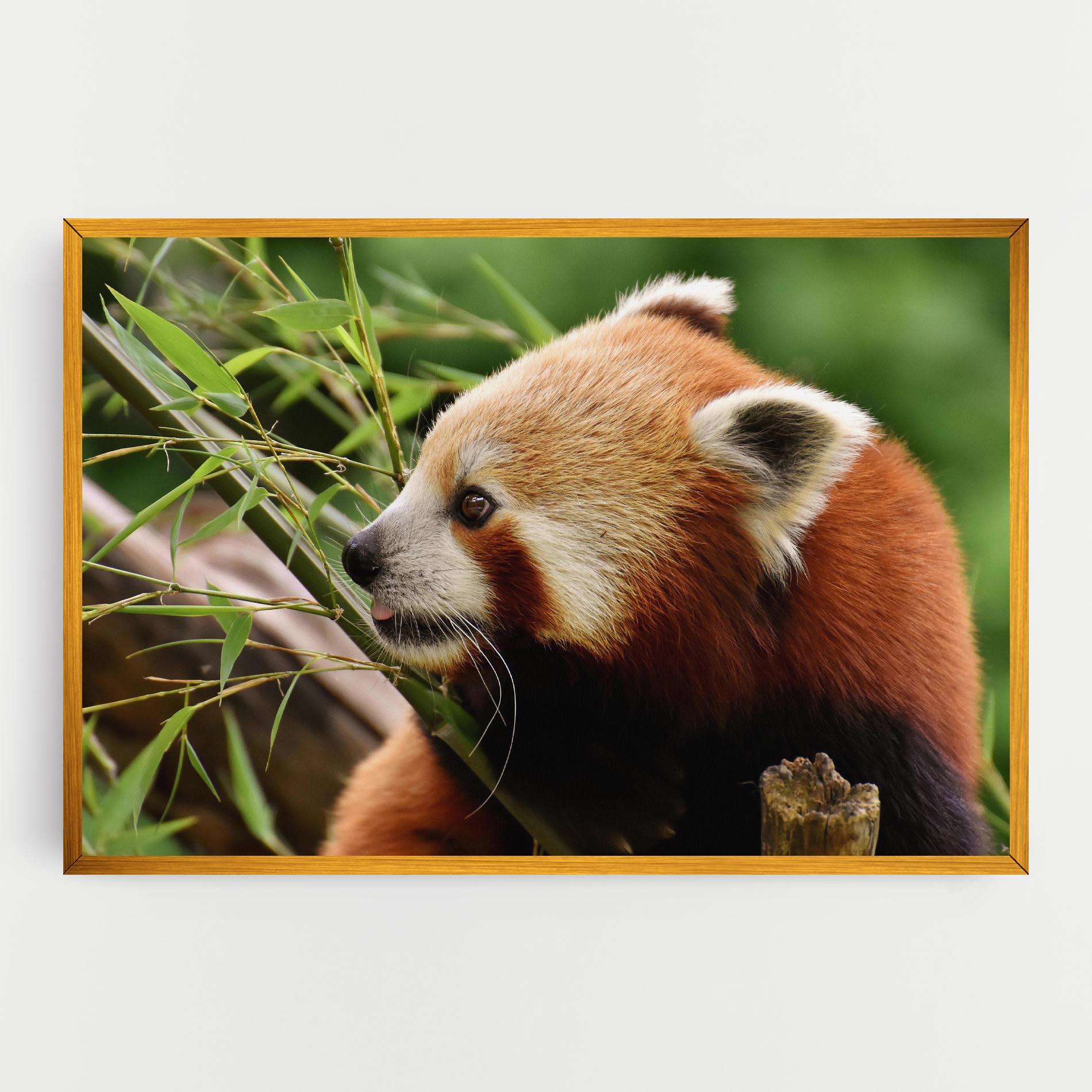 Картина на платно Cute Red Panda mockup 0