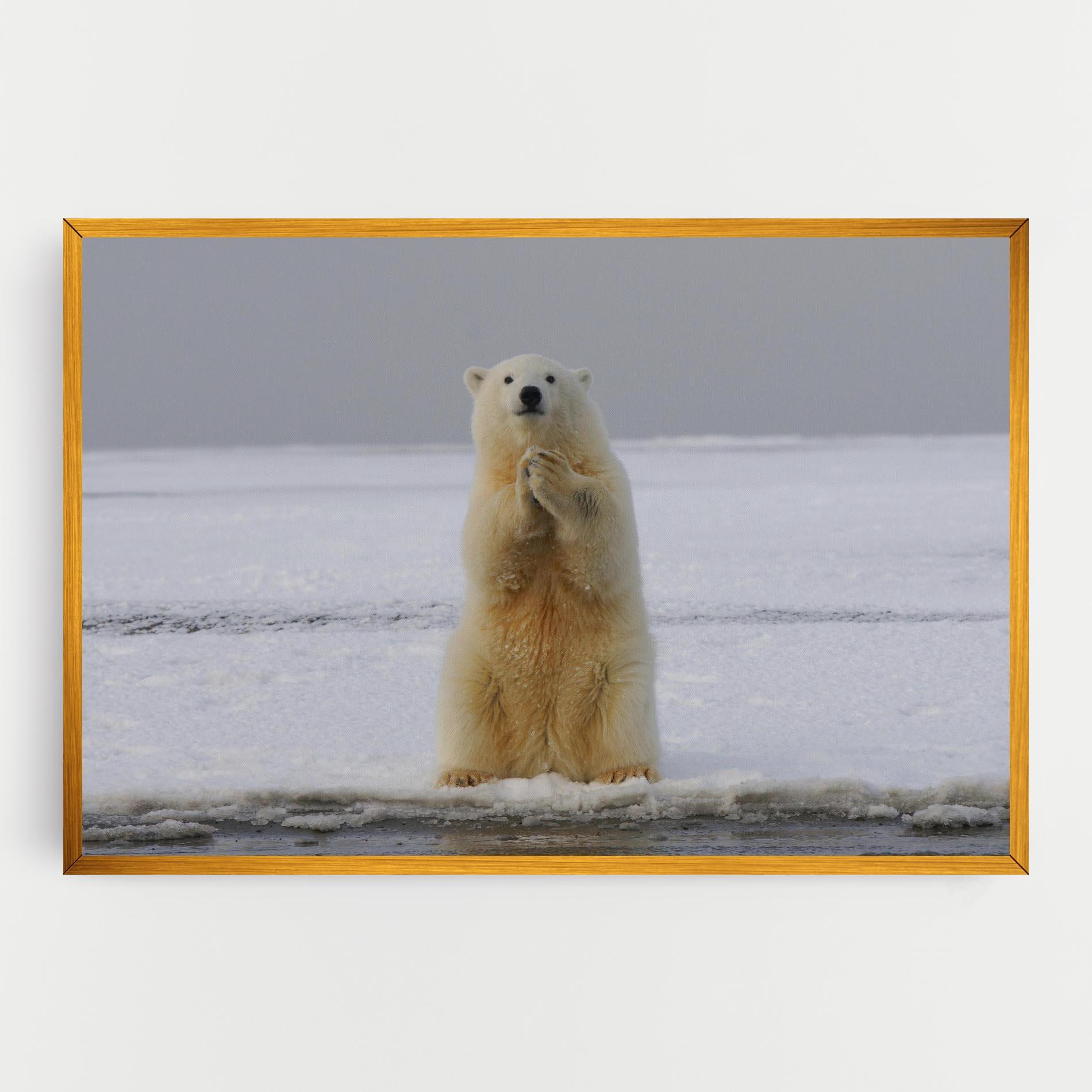 Картина на платно Icebear Praying mockup 0