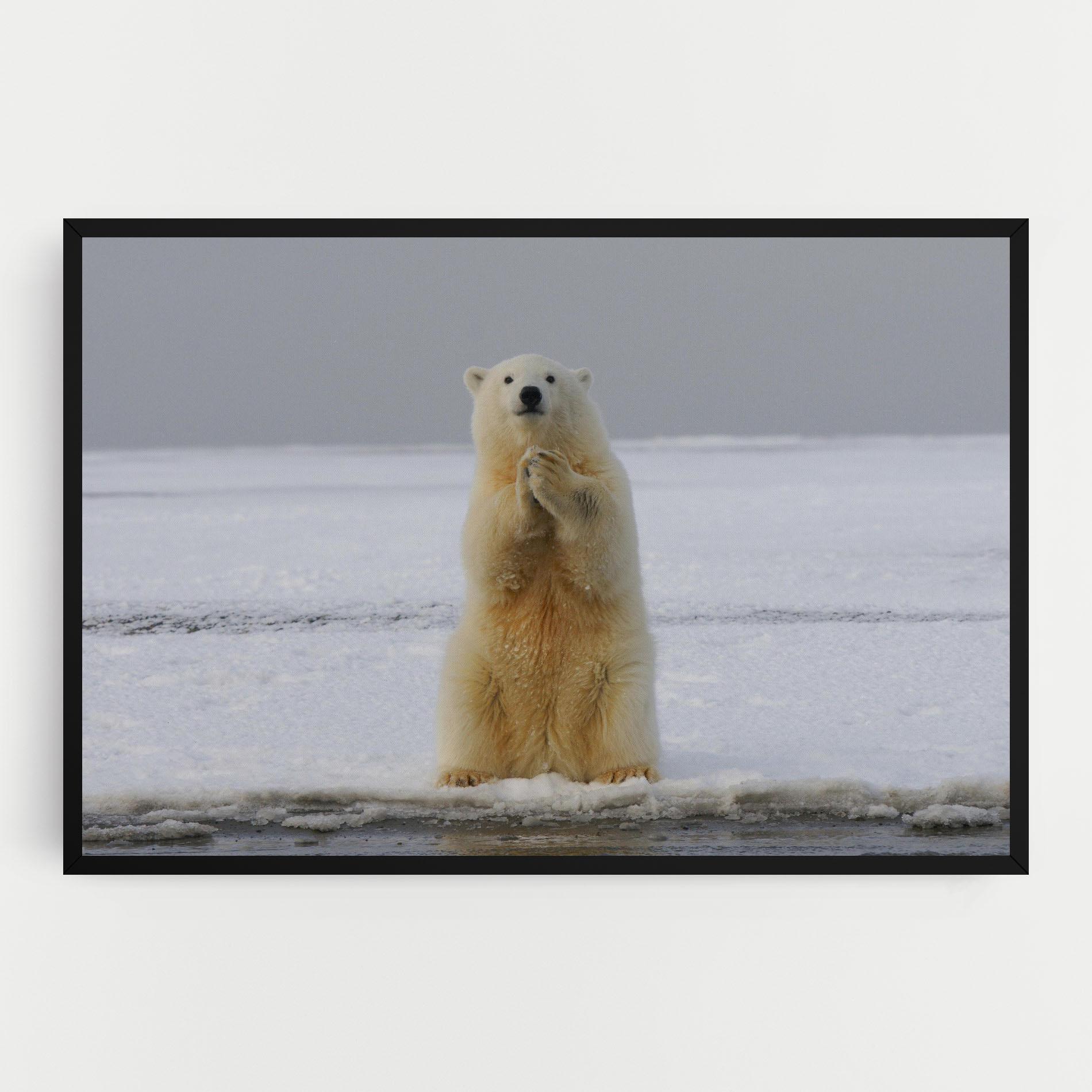 Картина на платно Icebear Praying mockup 0