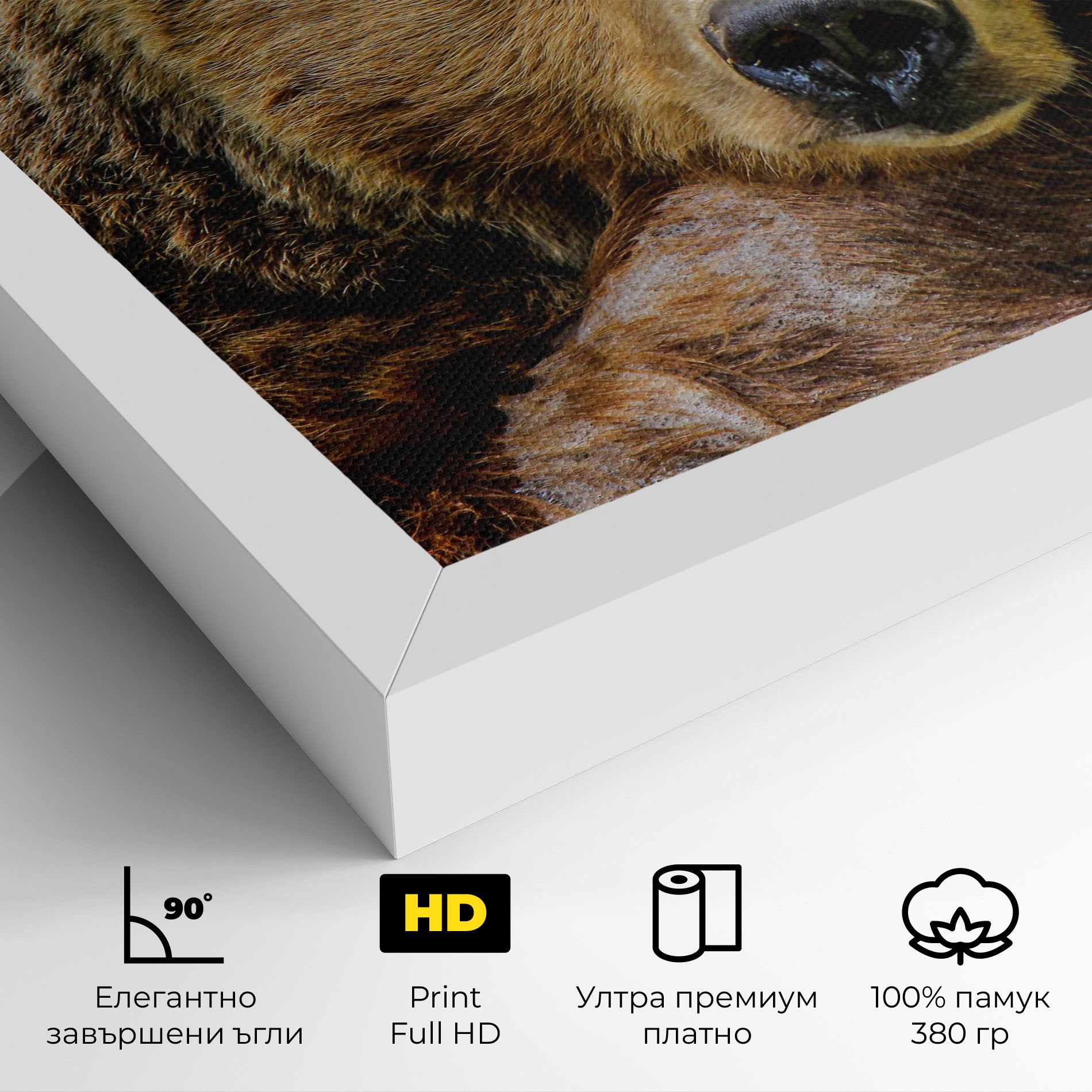 Bear mockup 4