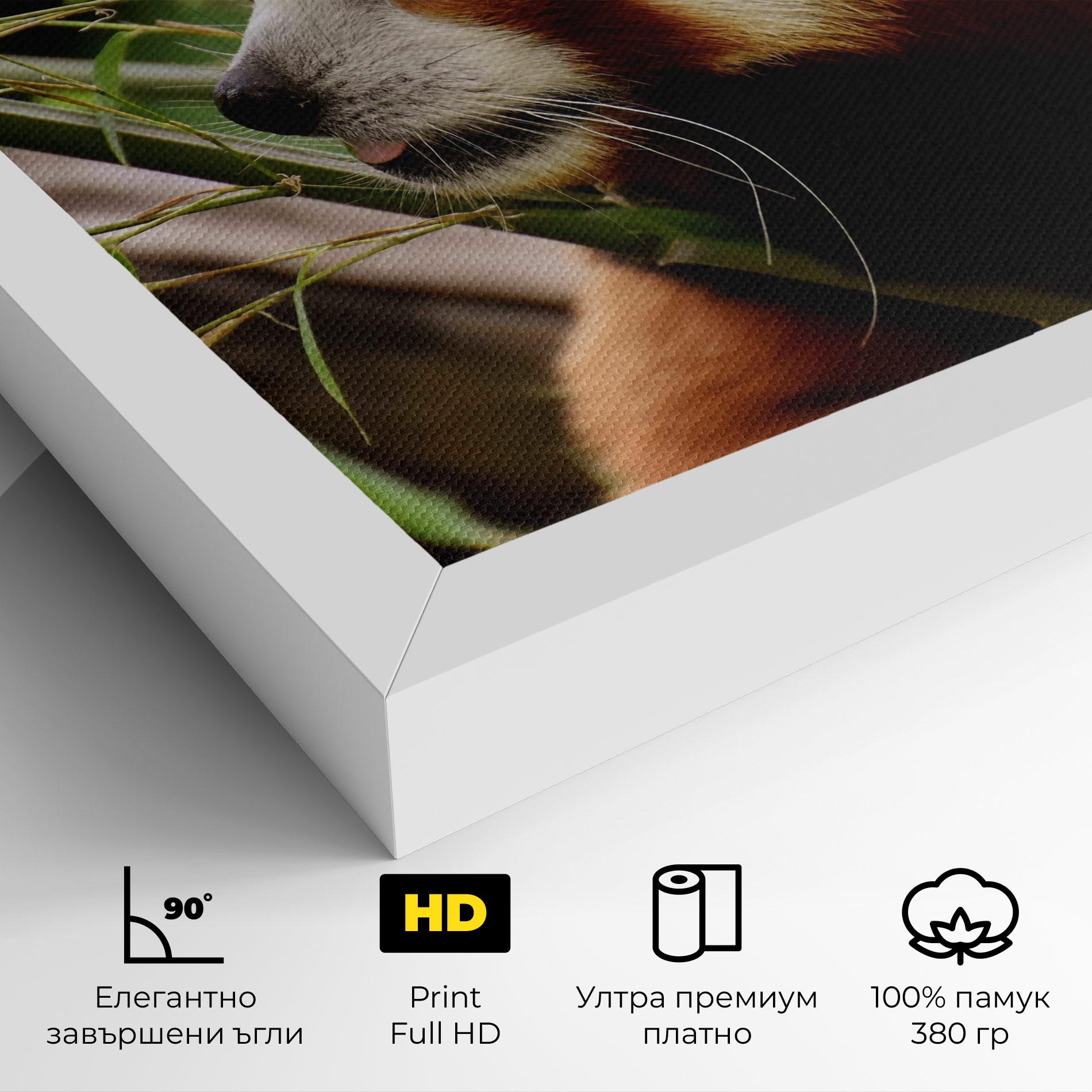 Картина на платно Cute Red Panda mockup 4