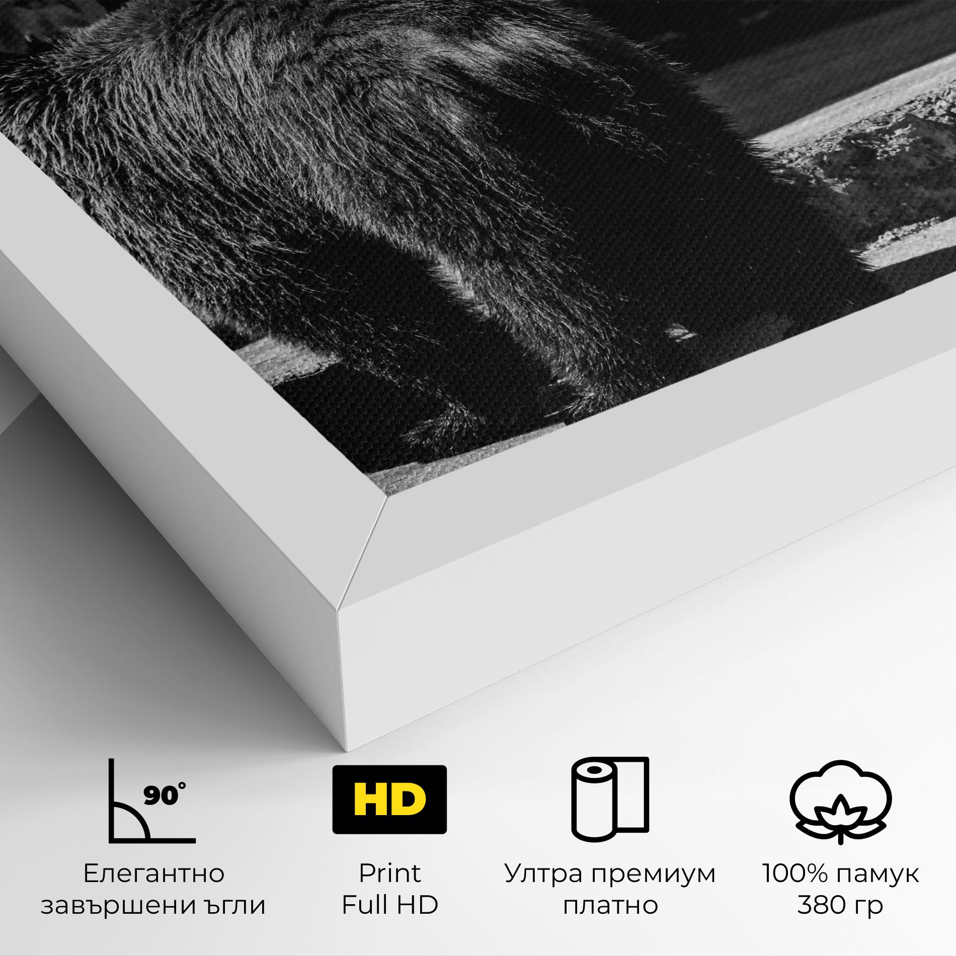 Картина на платно Grey Bear mockup 4