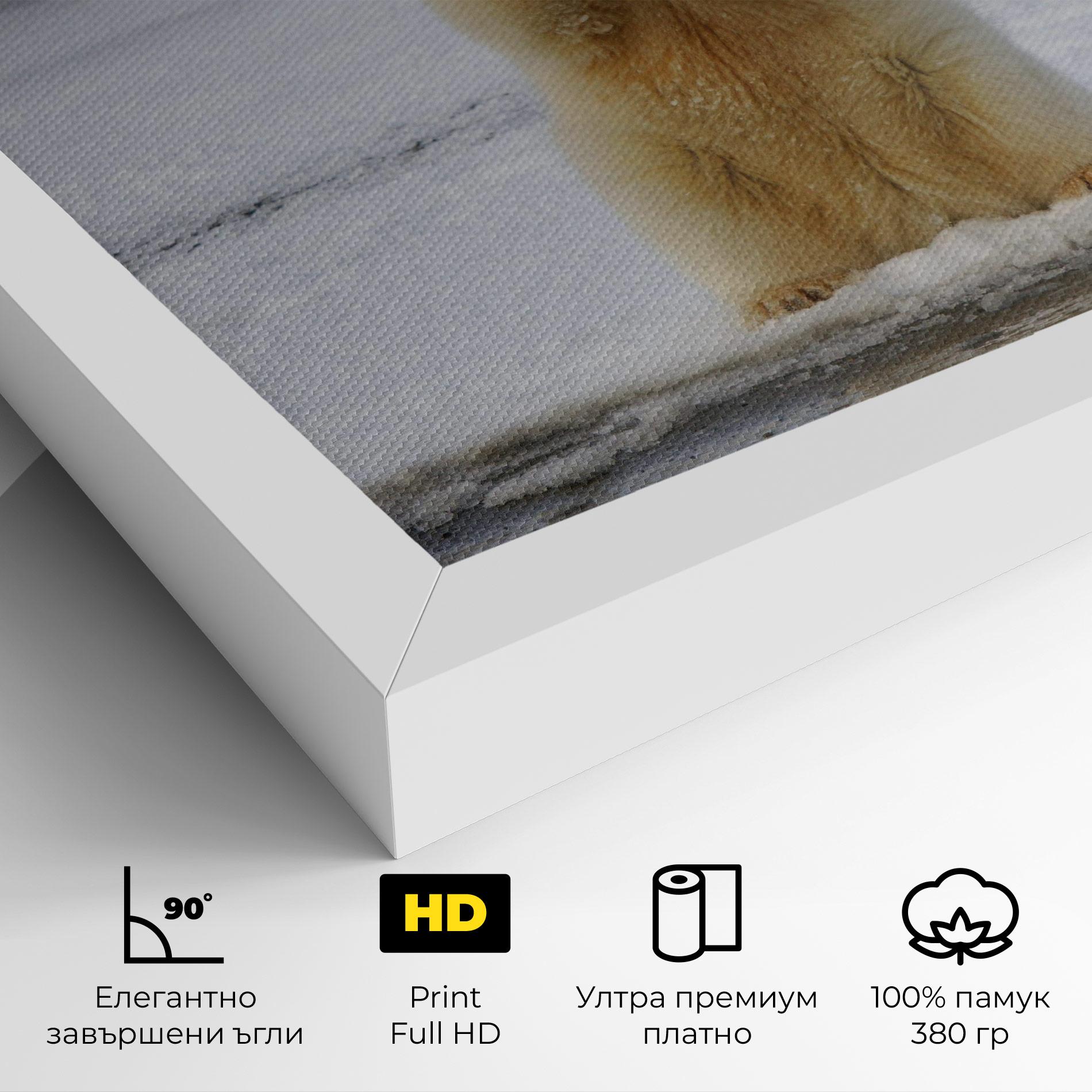 Картина на платно Icebear Praying mockup 4