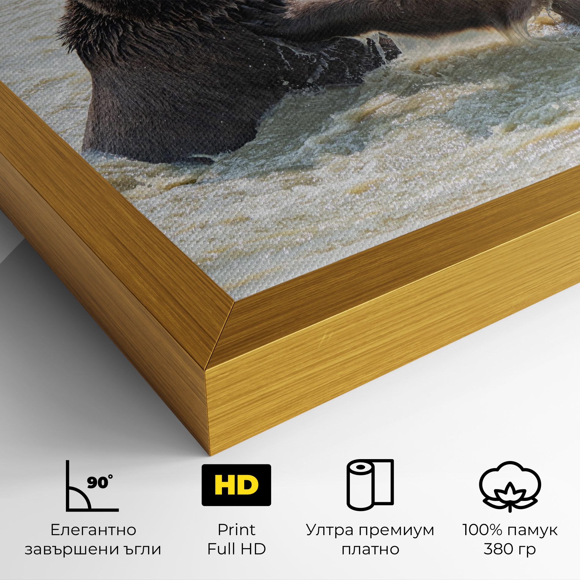 Bears Fighting mockup 4