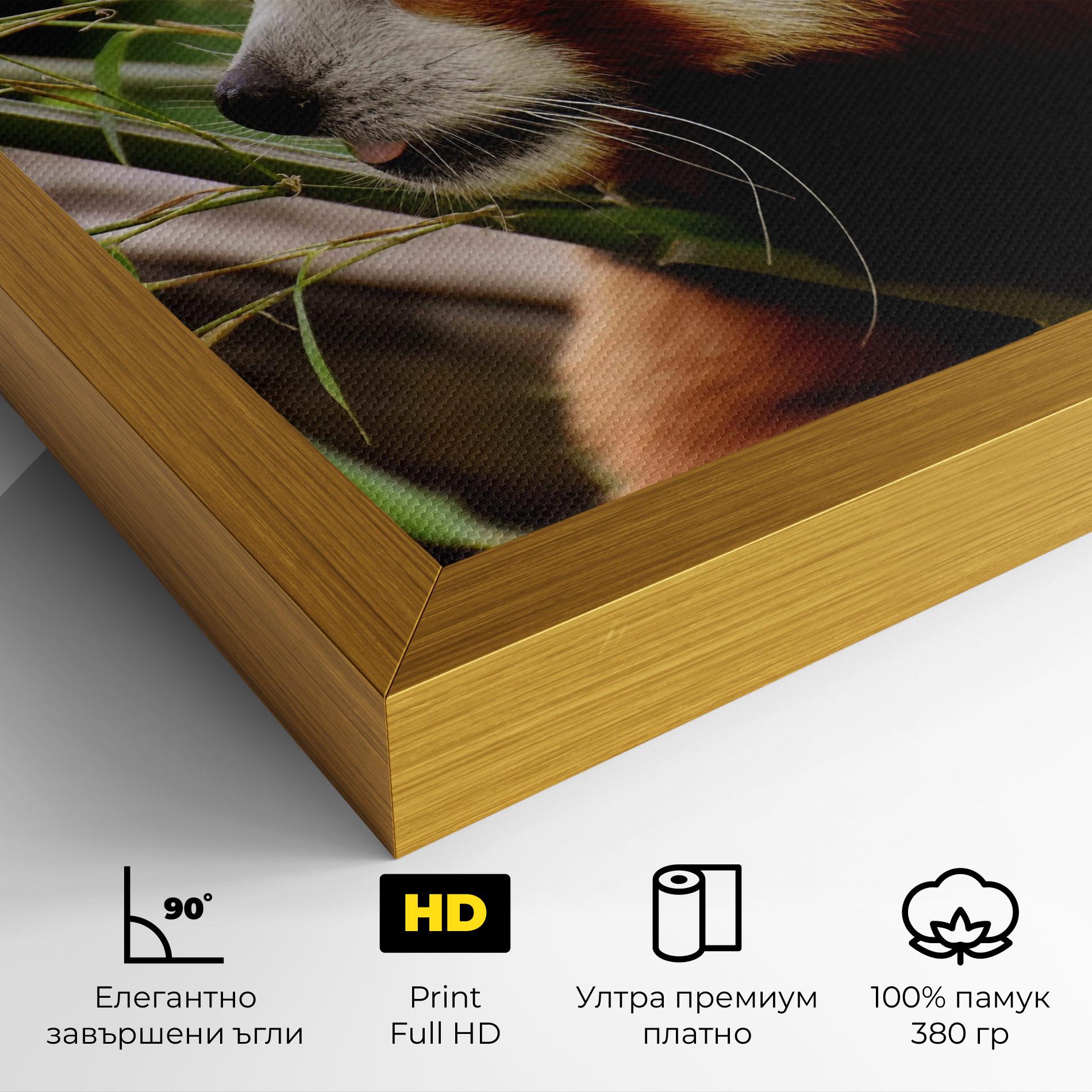 Картина на платно Cute Red Panda mockup 4