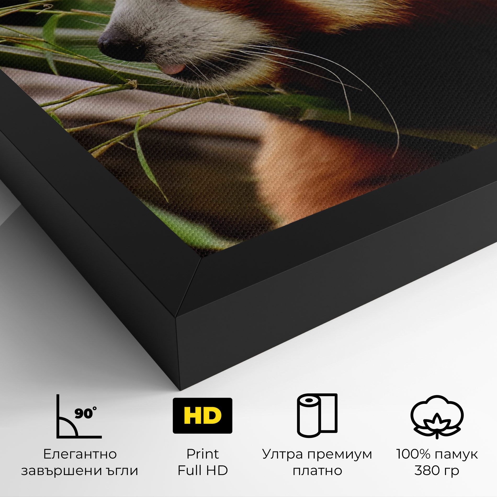 Cute Red Panda mockup 4