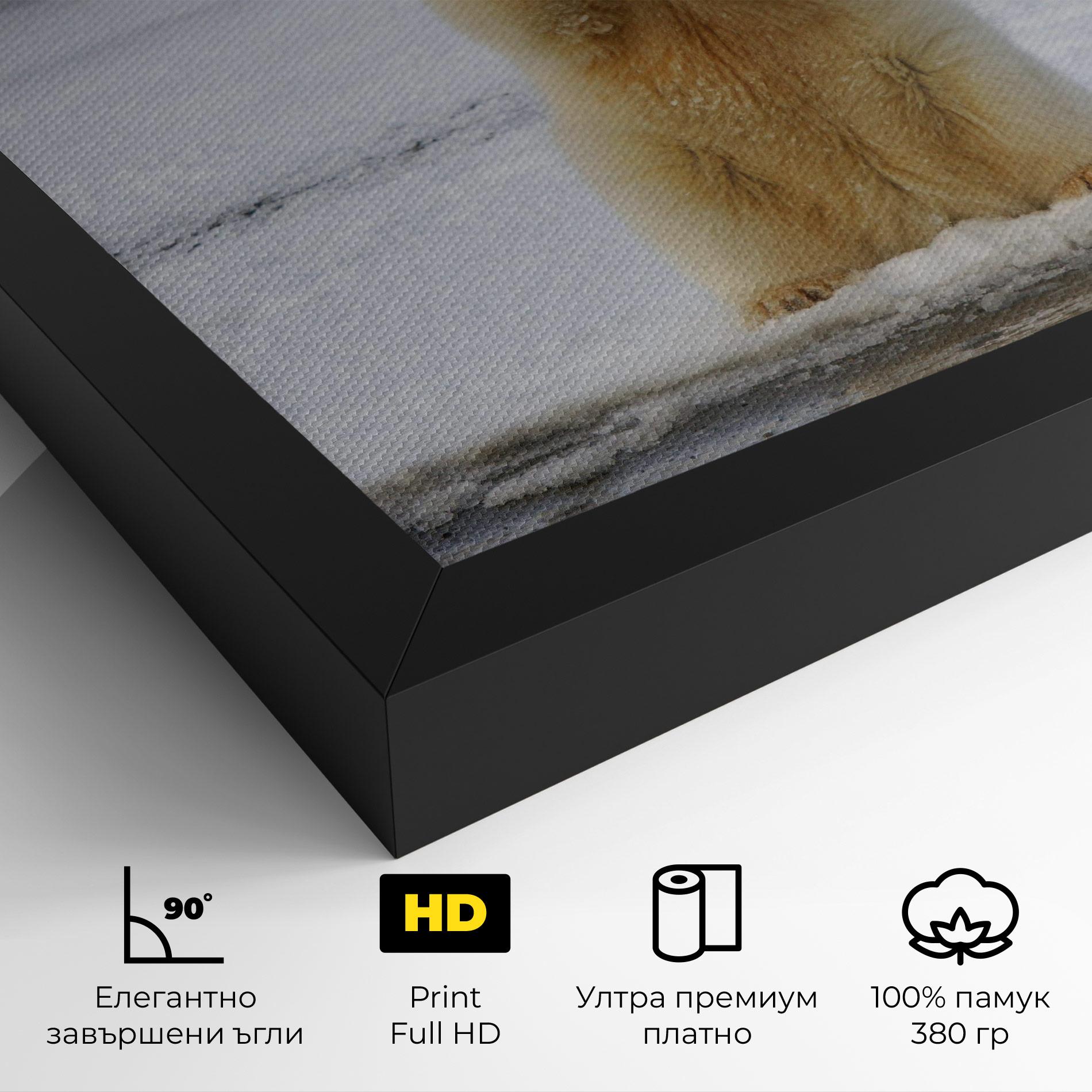 Картина на платно Icebear Praying mockup 4