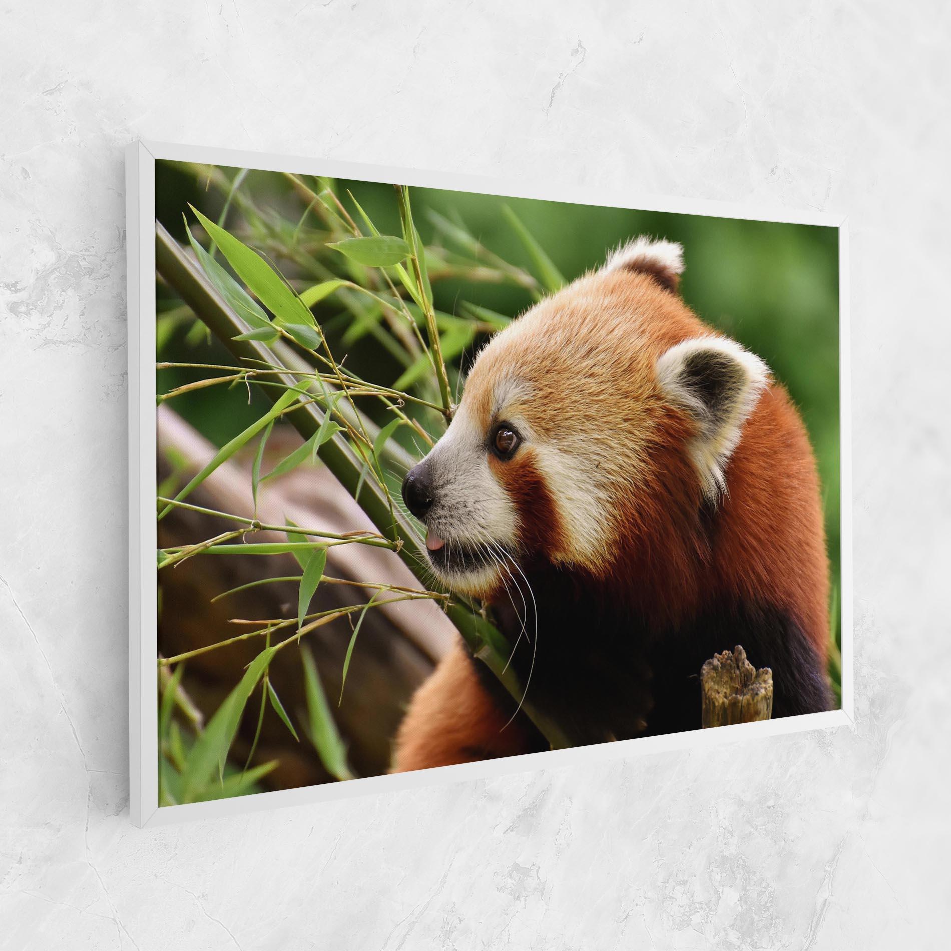 Картина на платно Cute Red Panda mockup 1