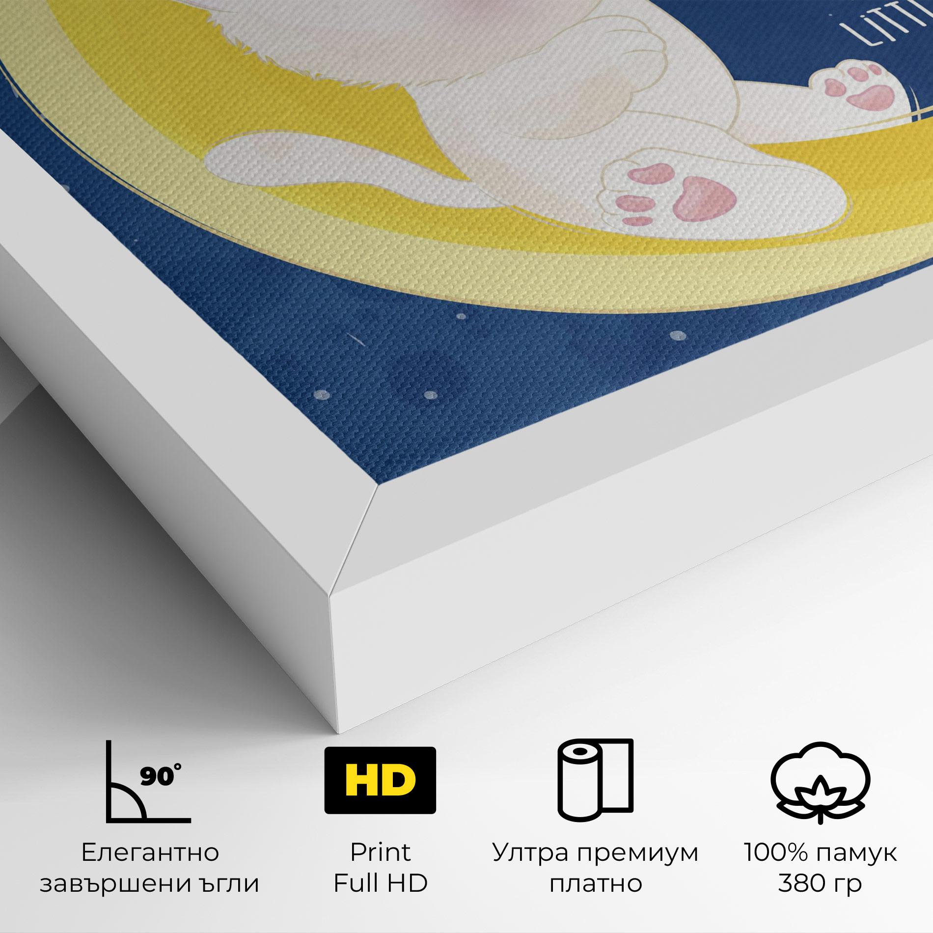 Картина на платно Cat Moon Star mockup 4