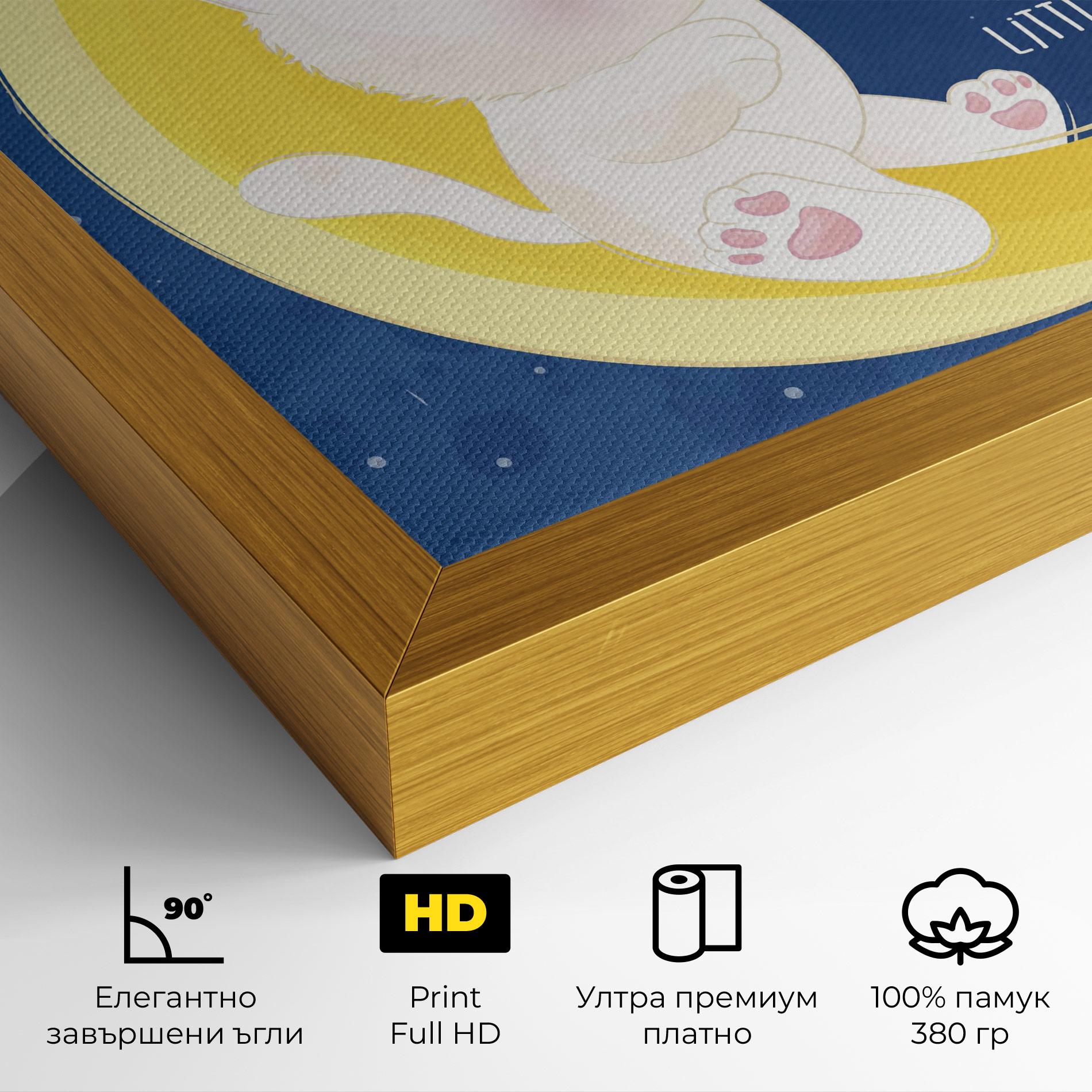 Картина на платно Cat Moon Star mockup 4