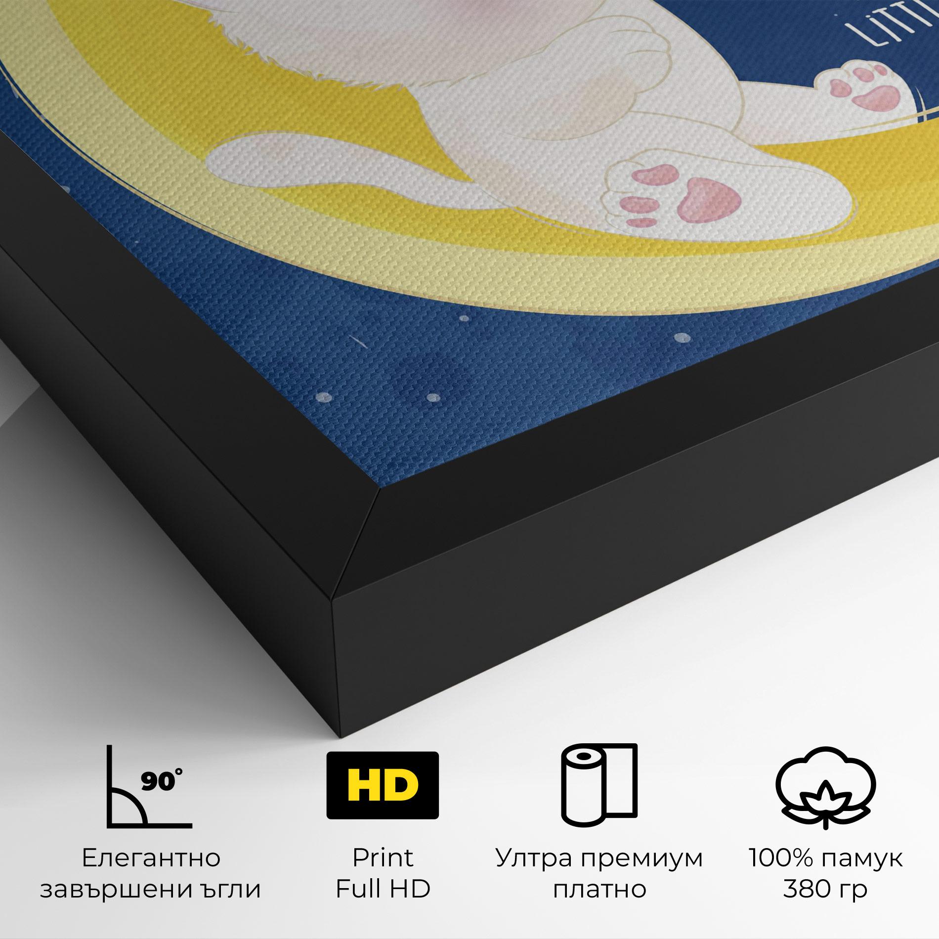 Картина на платно Cat Moon Star mockup 4
