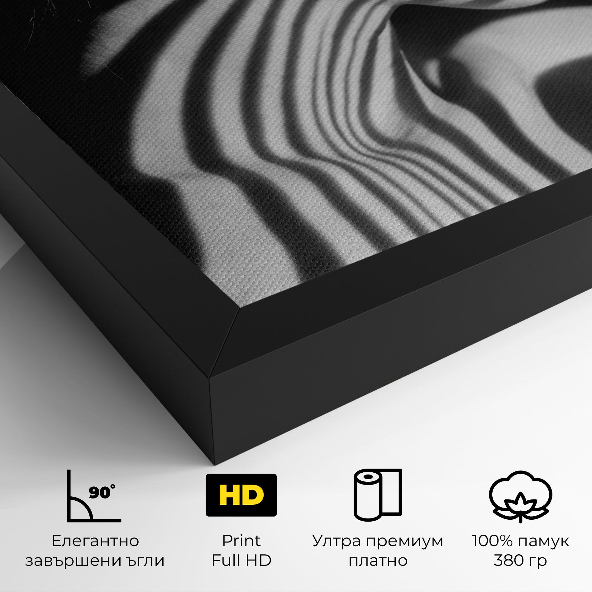 Картина на платно Zebra Stripes Woman mockup 4