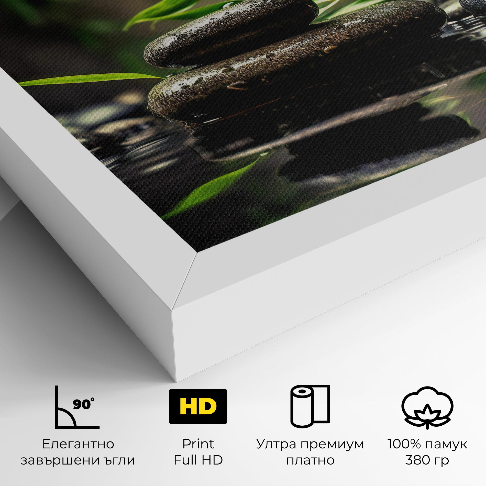 Картина на платно Bamboo Plant Water mockup 4