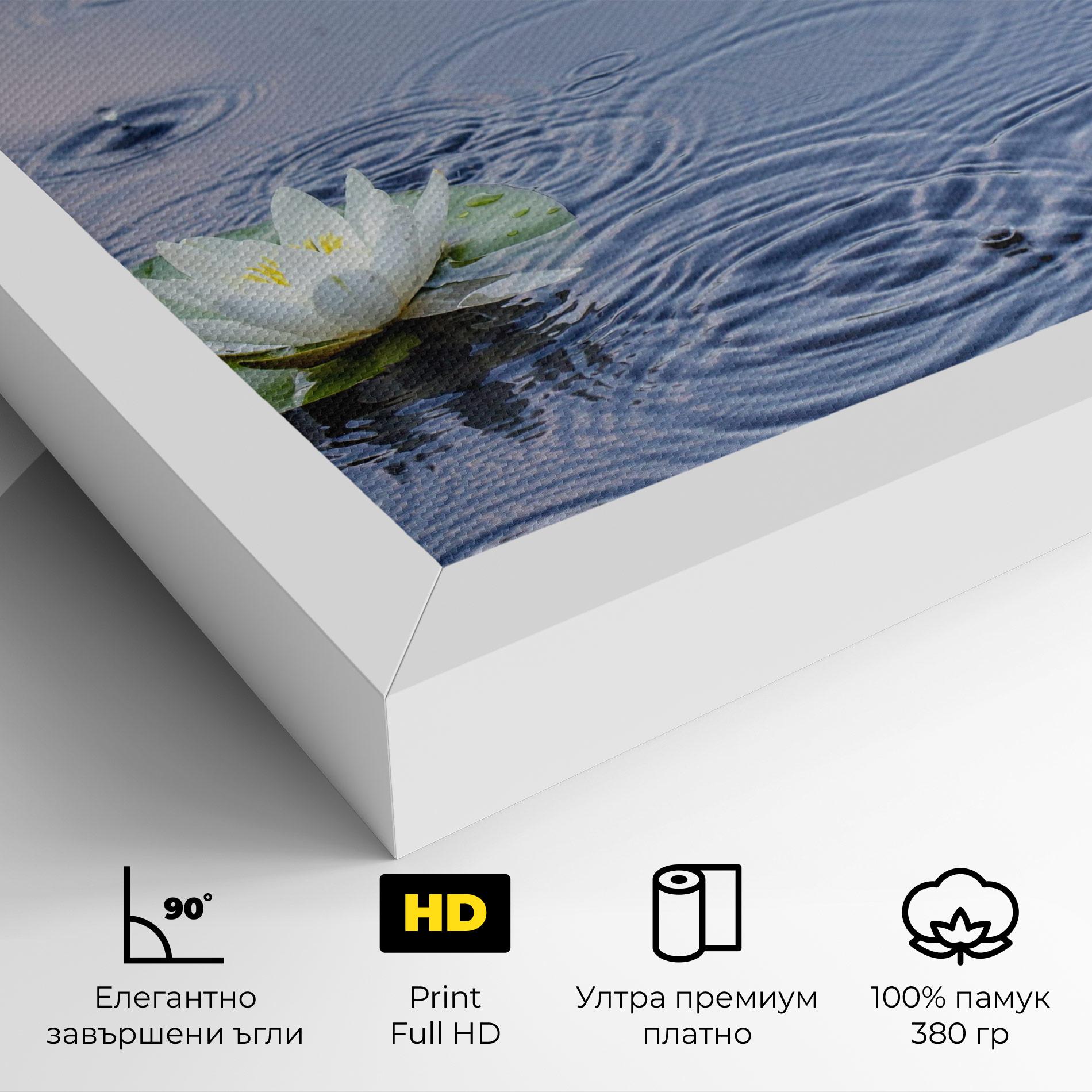 Картина на платно Clear Lake Rain mockup 4