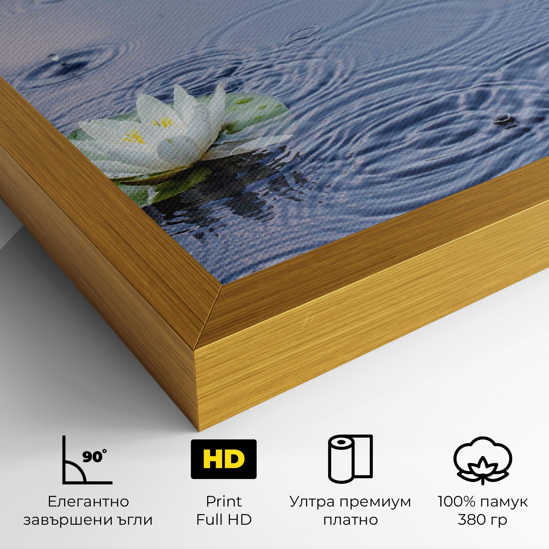 Картина на платно Clear Lake Rain mockup 4