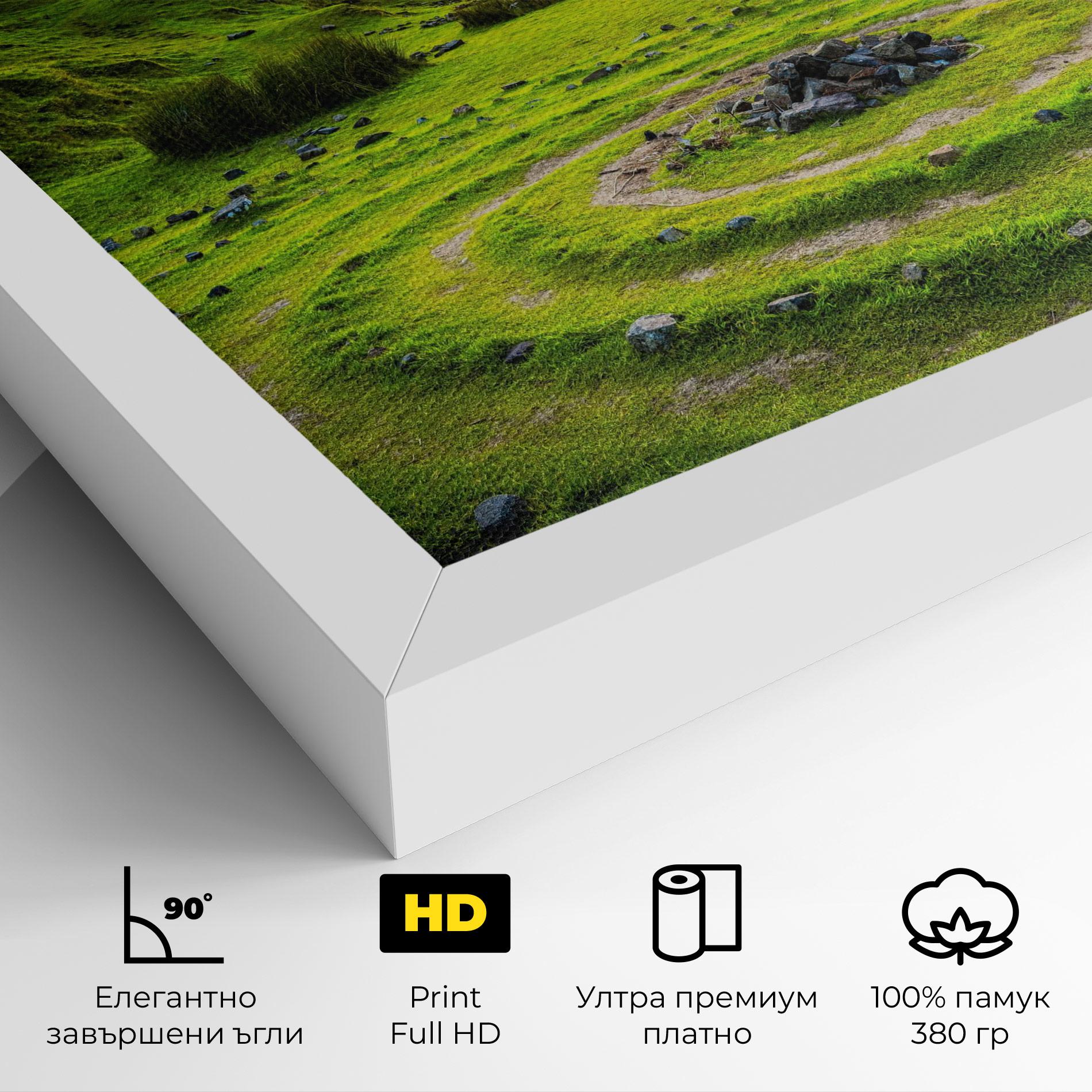 Картина на платно Green Circle Nature mockup 4