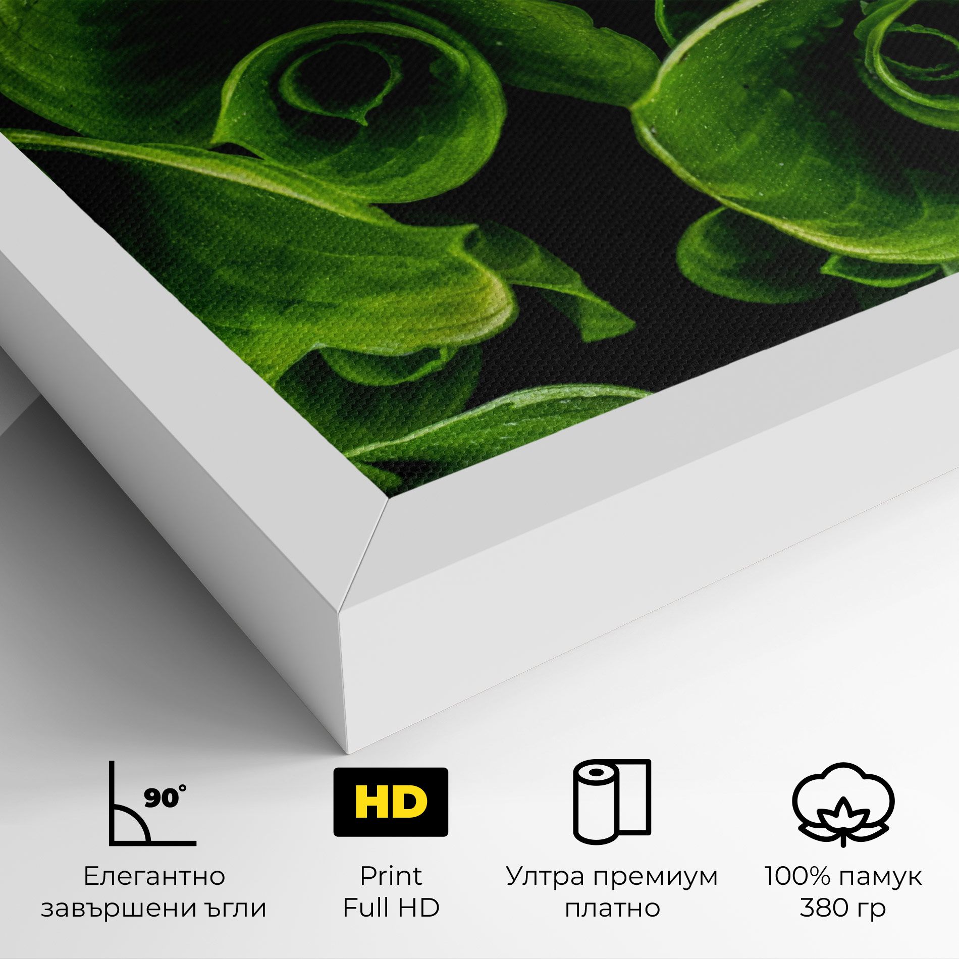 Green Nature View mockup 4