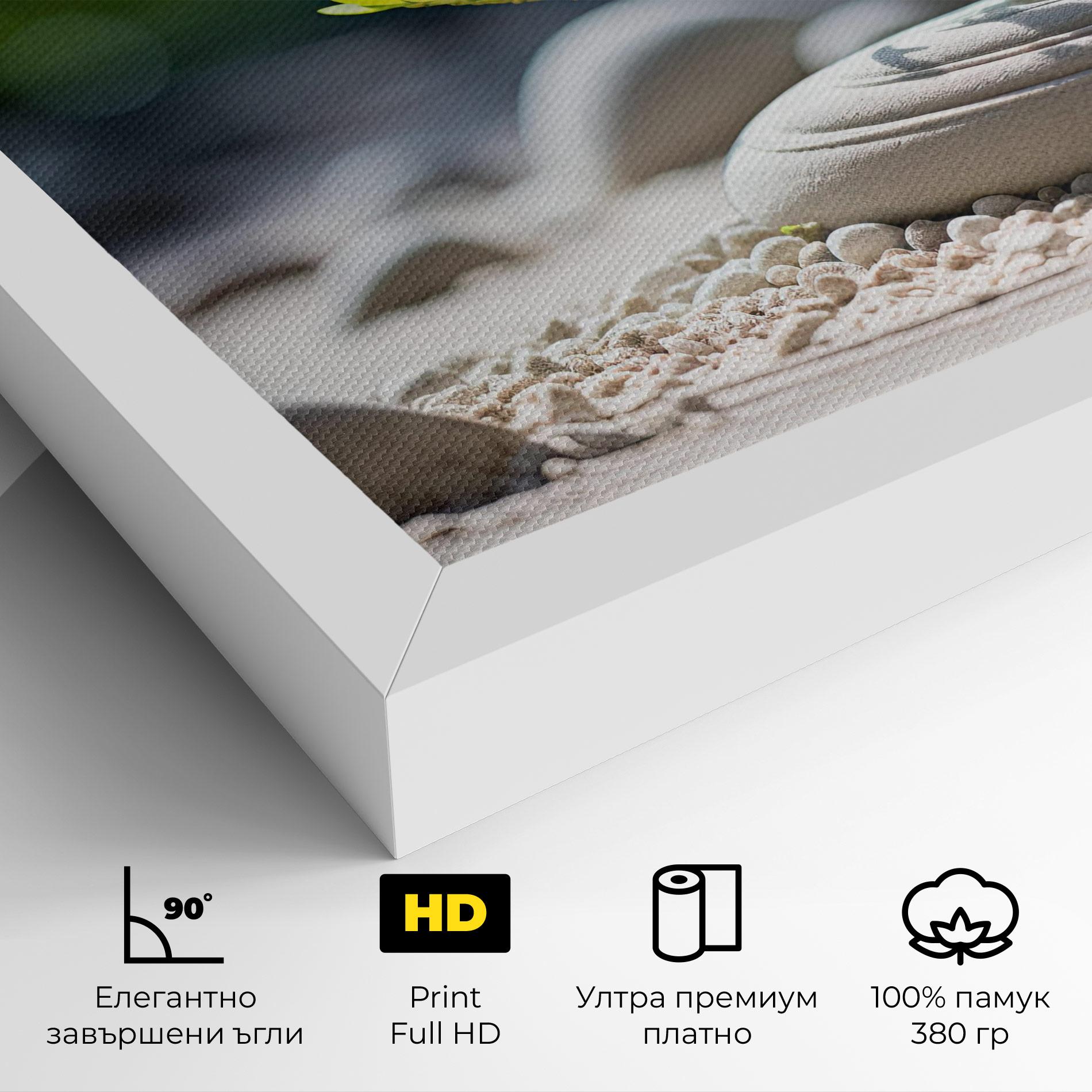 Картина на платно White Pebbles Plants mockup 4