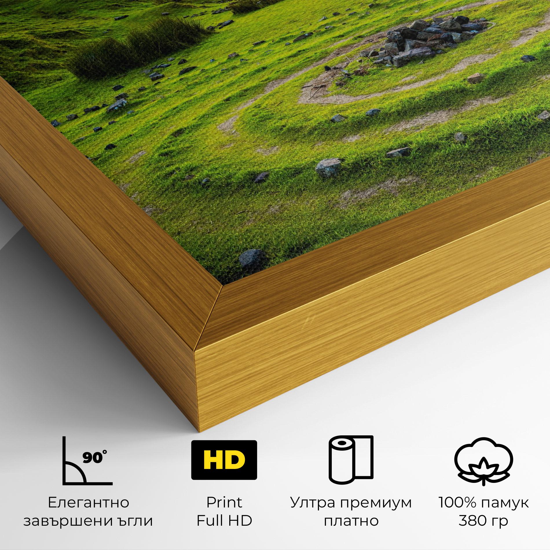 Картина на платно Green Circle Nature mockup 4