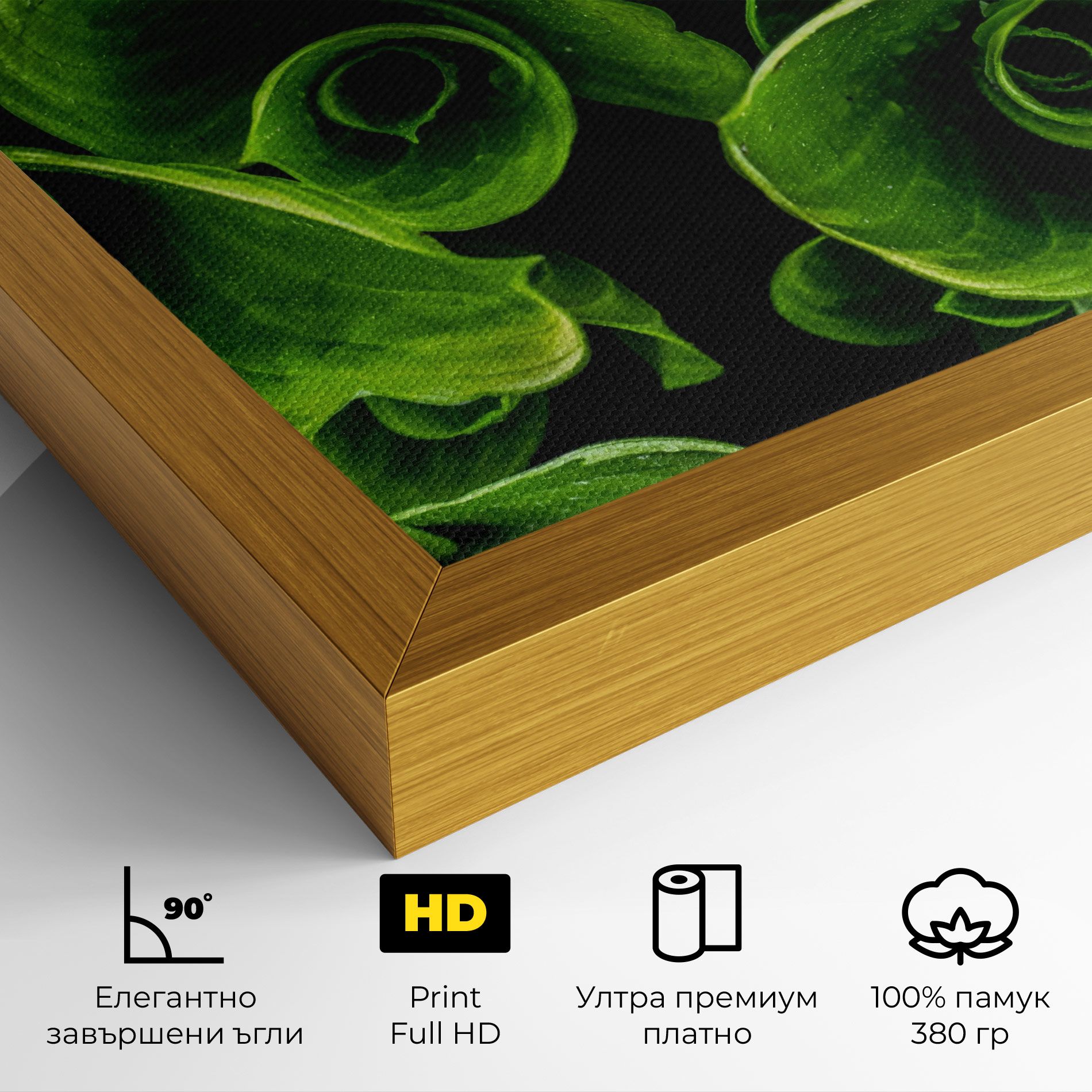 Green Nature View mockup 4