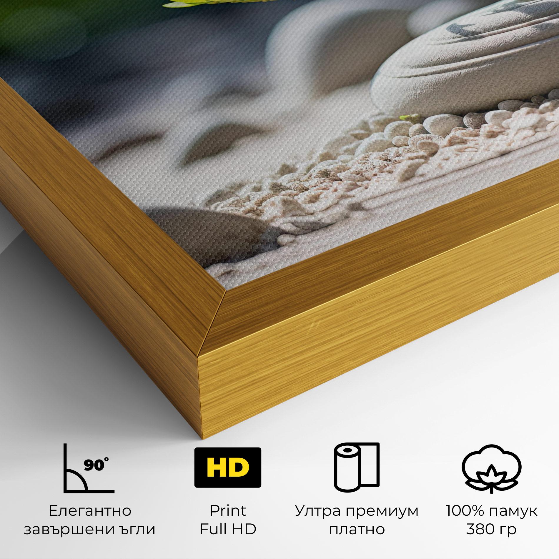 Картина на платно White Pebbles Plants mockup 4