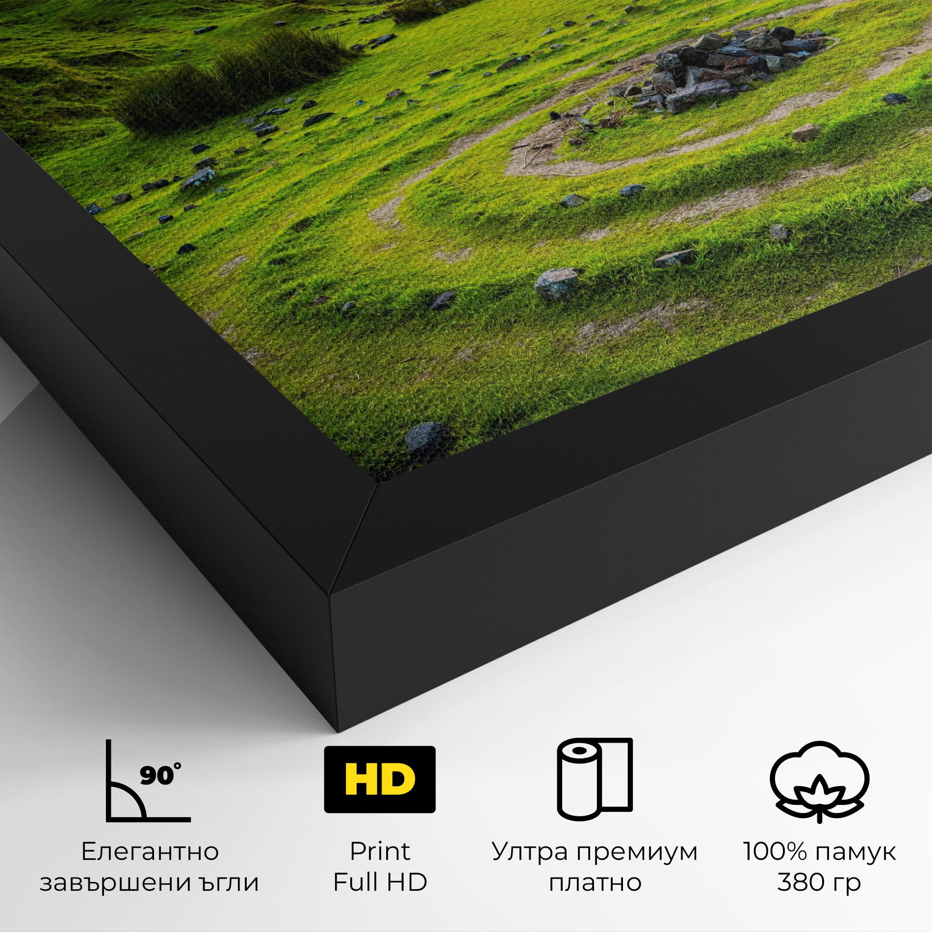 Картина на платно Green Circle Nature mockup 4
