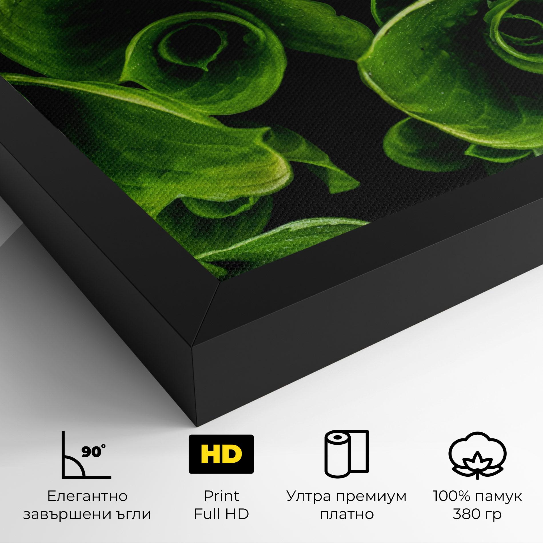 Картина на платно Green Nature View mockup 4