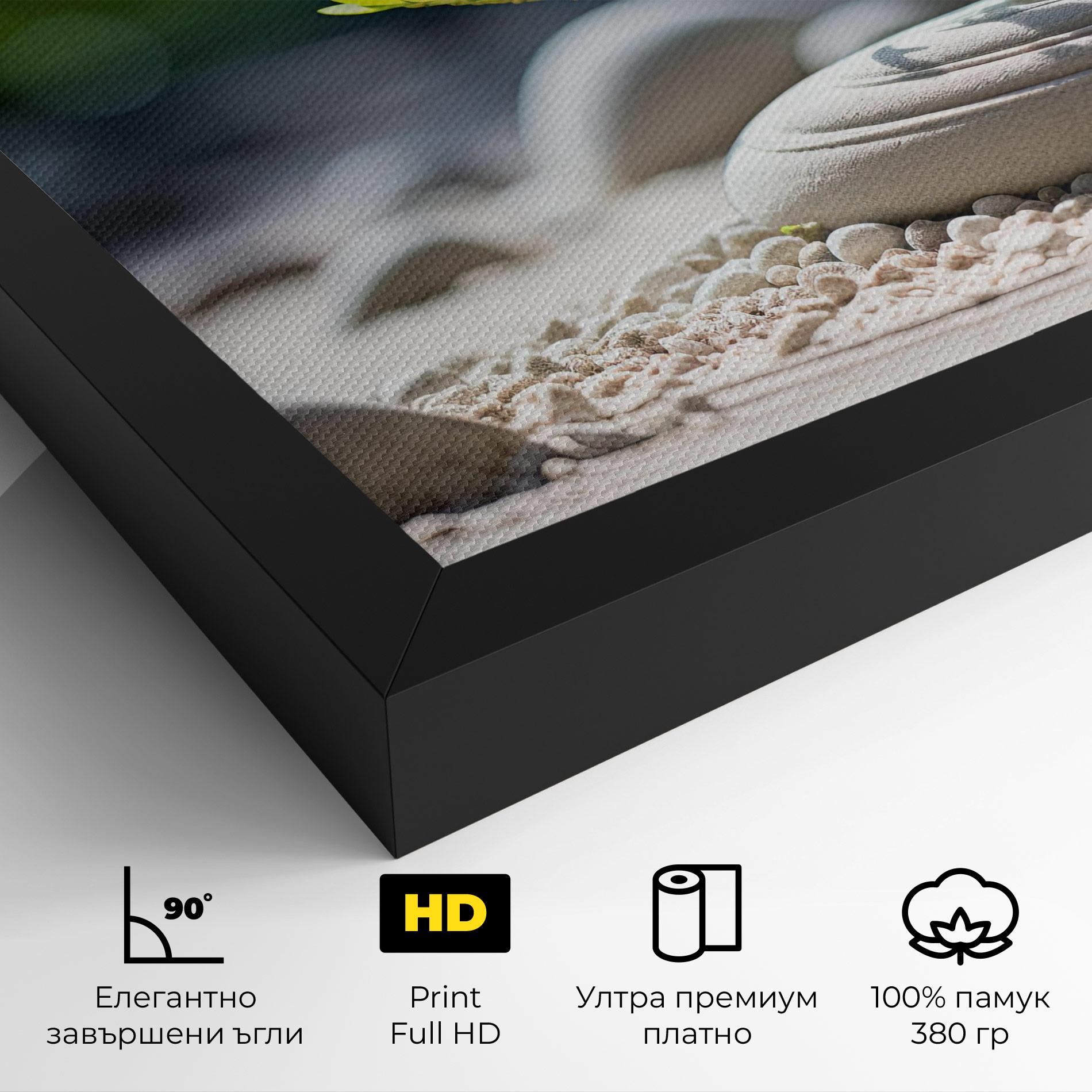 Картина на платно White Pebbles Plants mockup 4