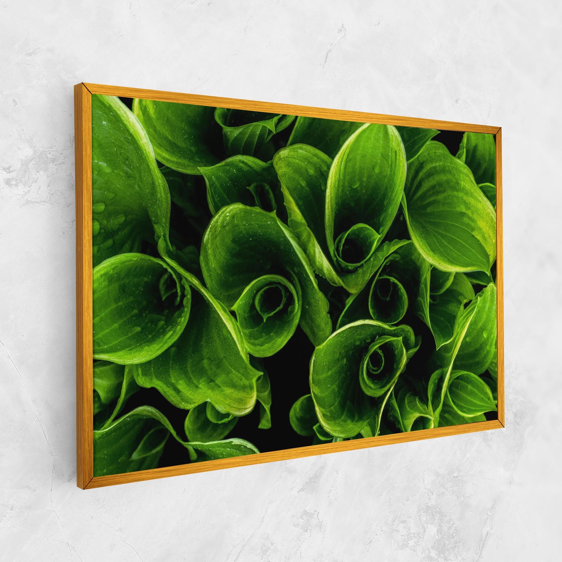 Green Nature View mockup 1