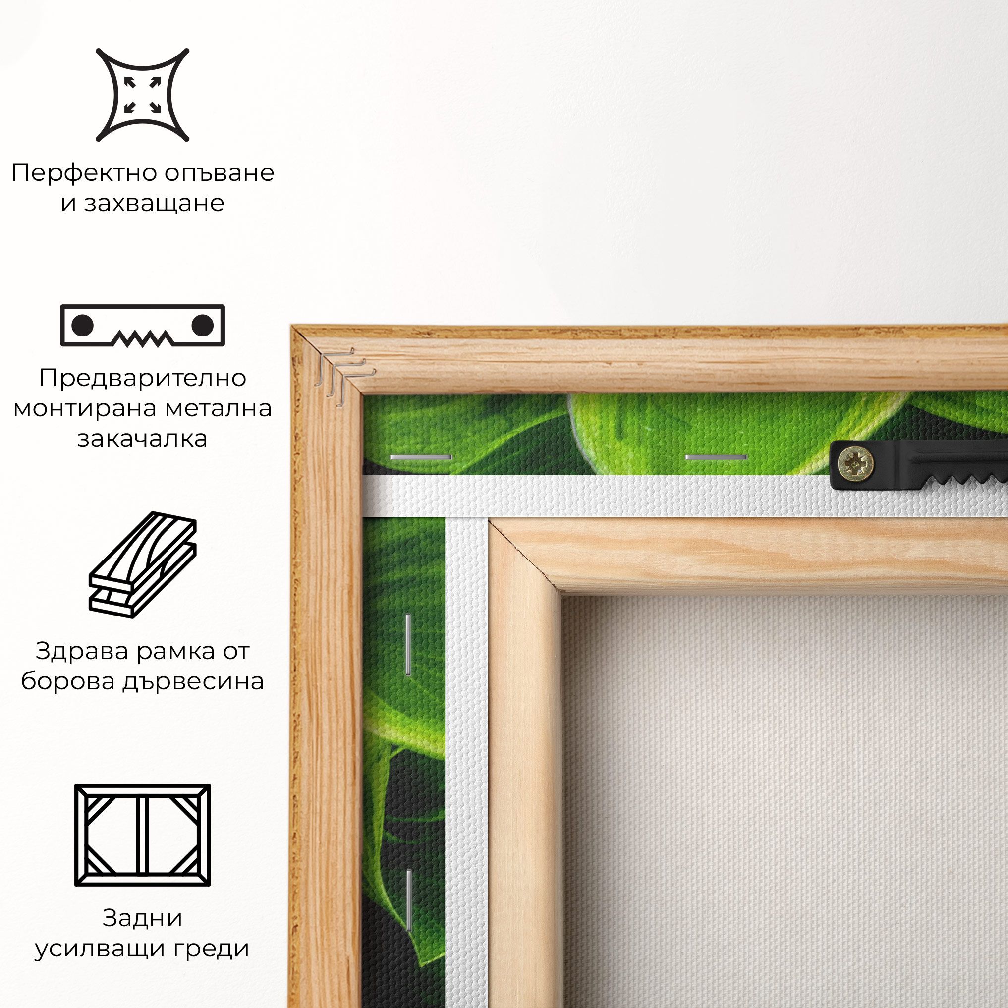 Green Nature View mockup 5