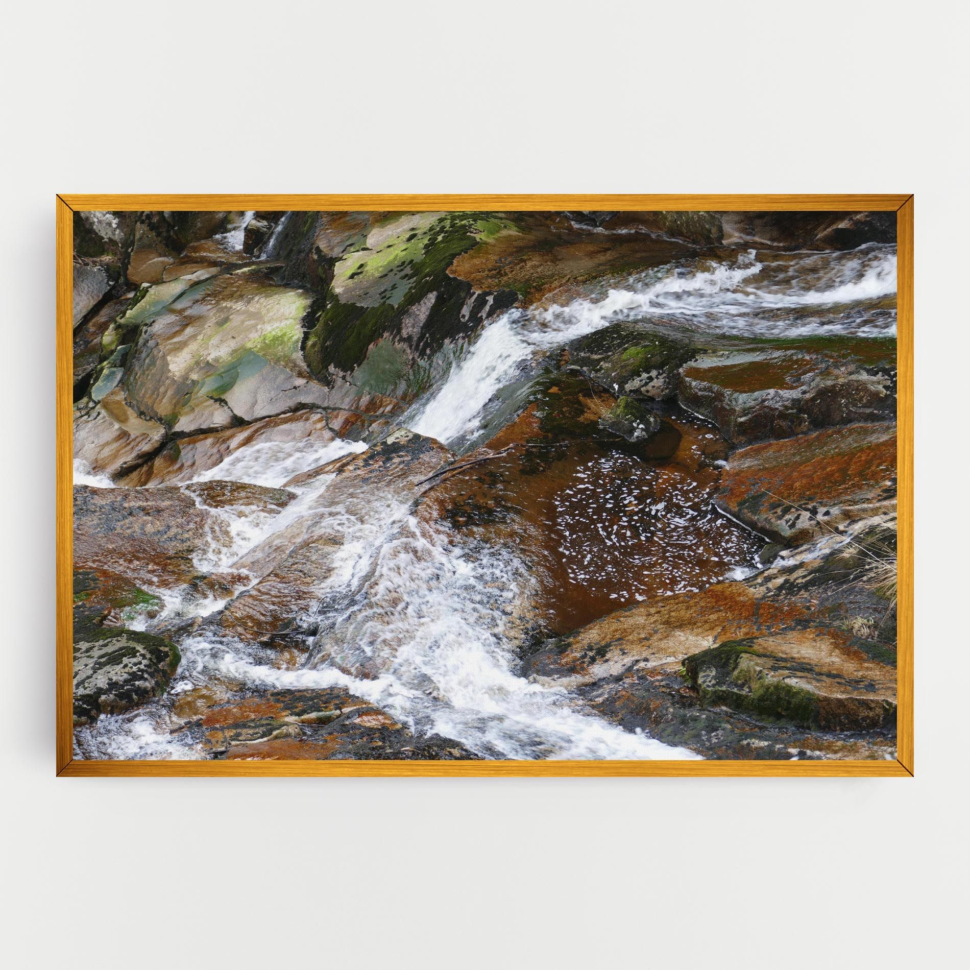 Forest Peace mockup 0