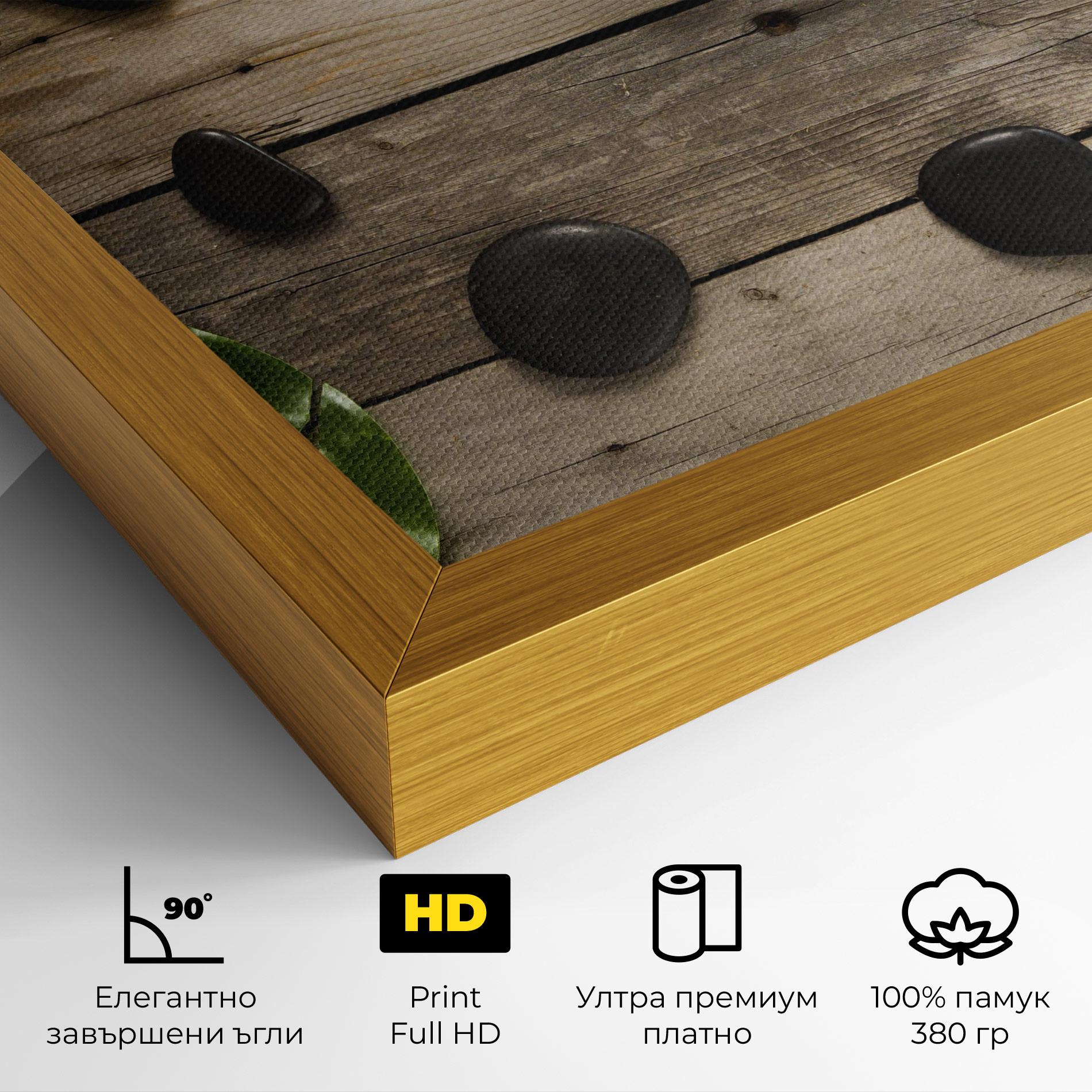 Картина на платно Cotton Flowers Stones mockup 4