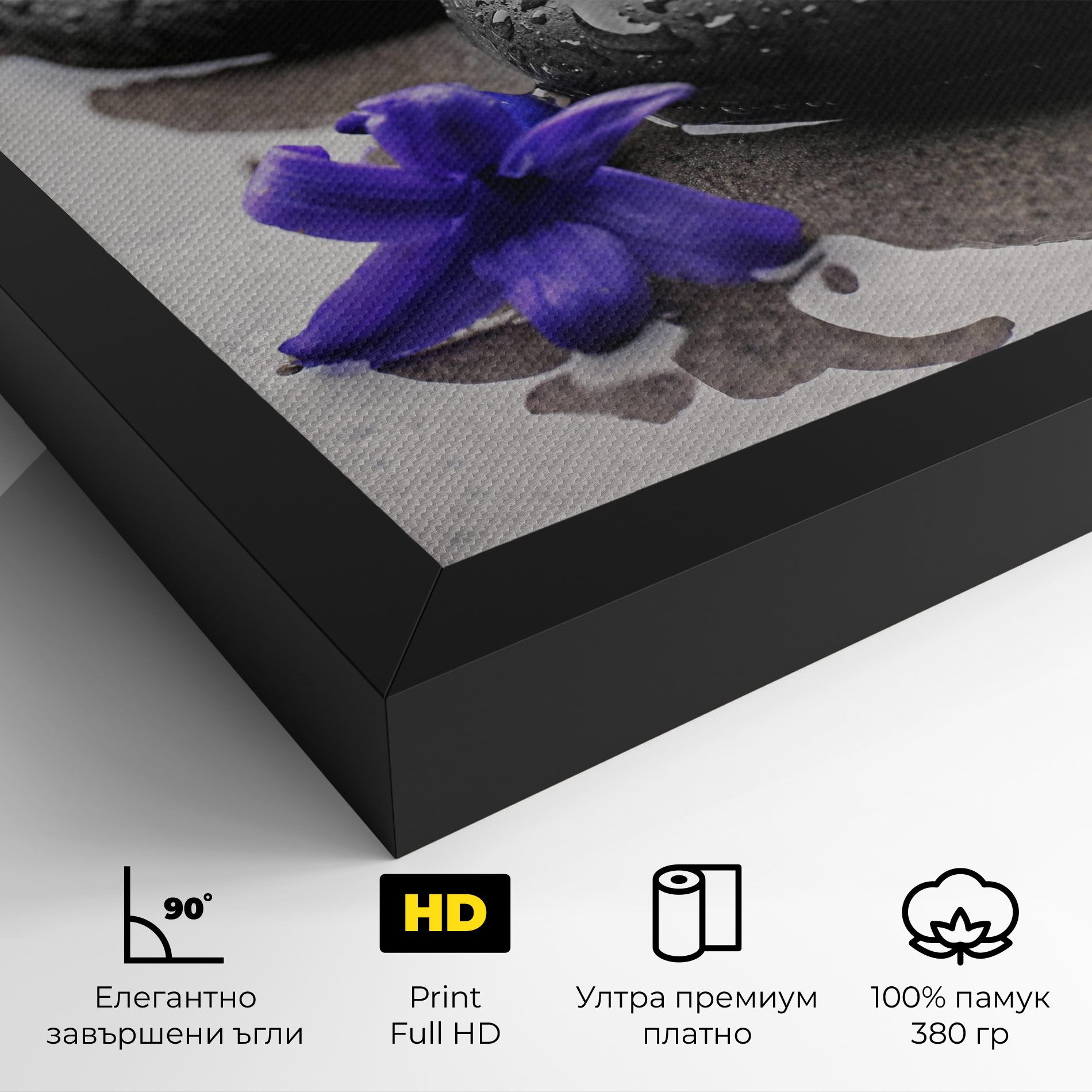 Spa Purple Rock mockup 4
