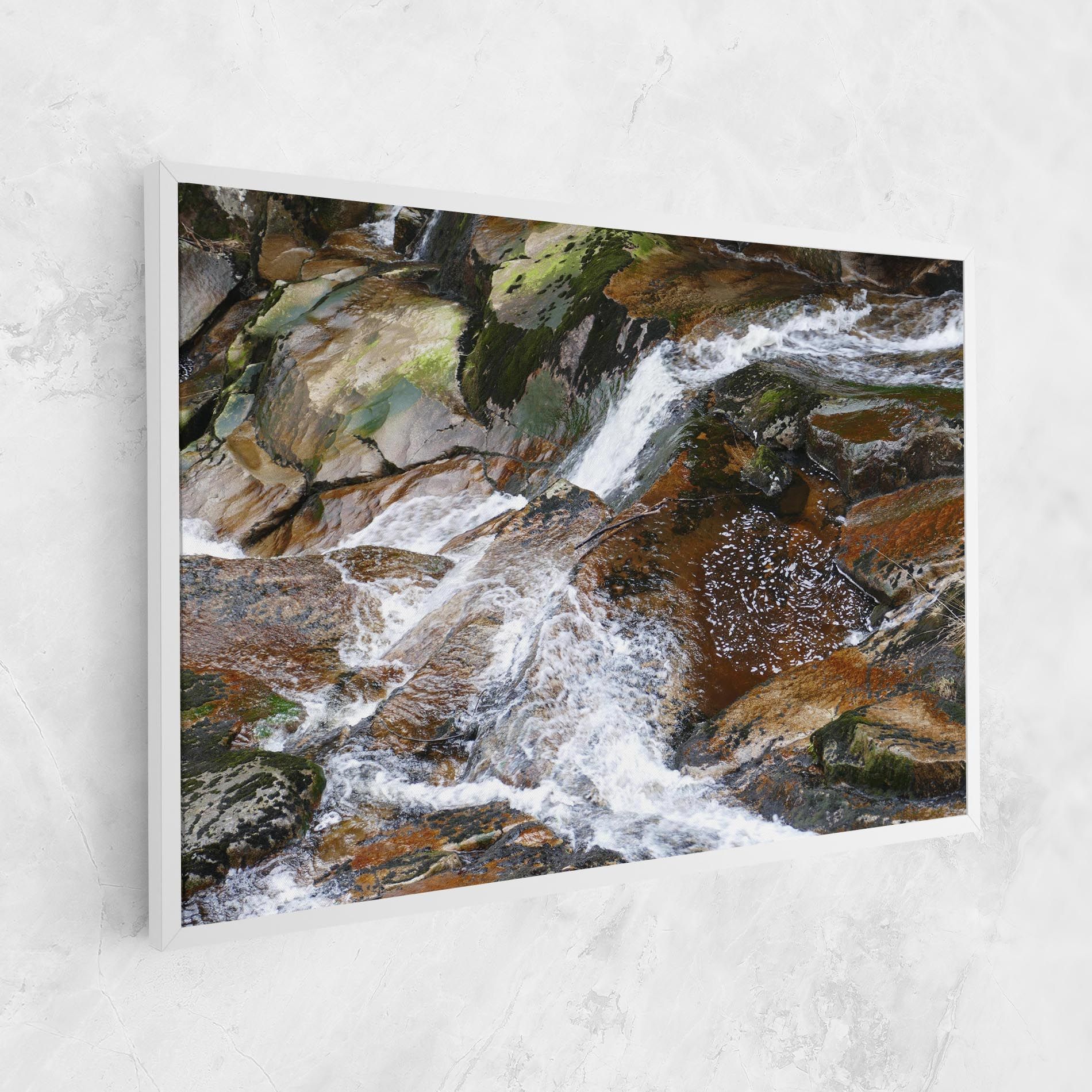 Forest Peace mockup 1