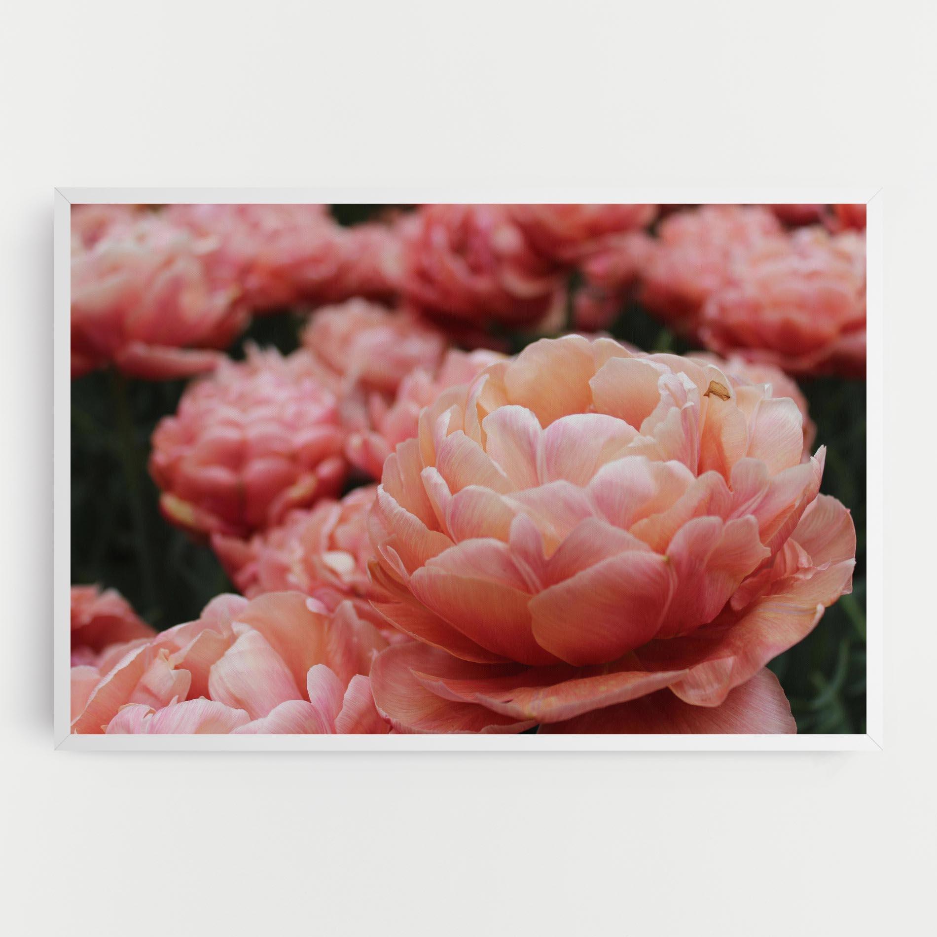 Картина на платно Light Orange Peony mockup 0