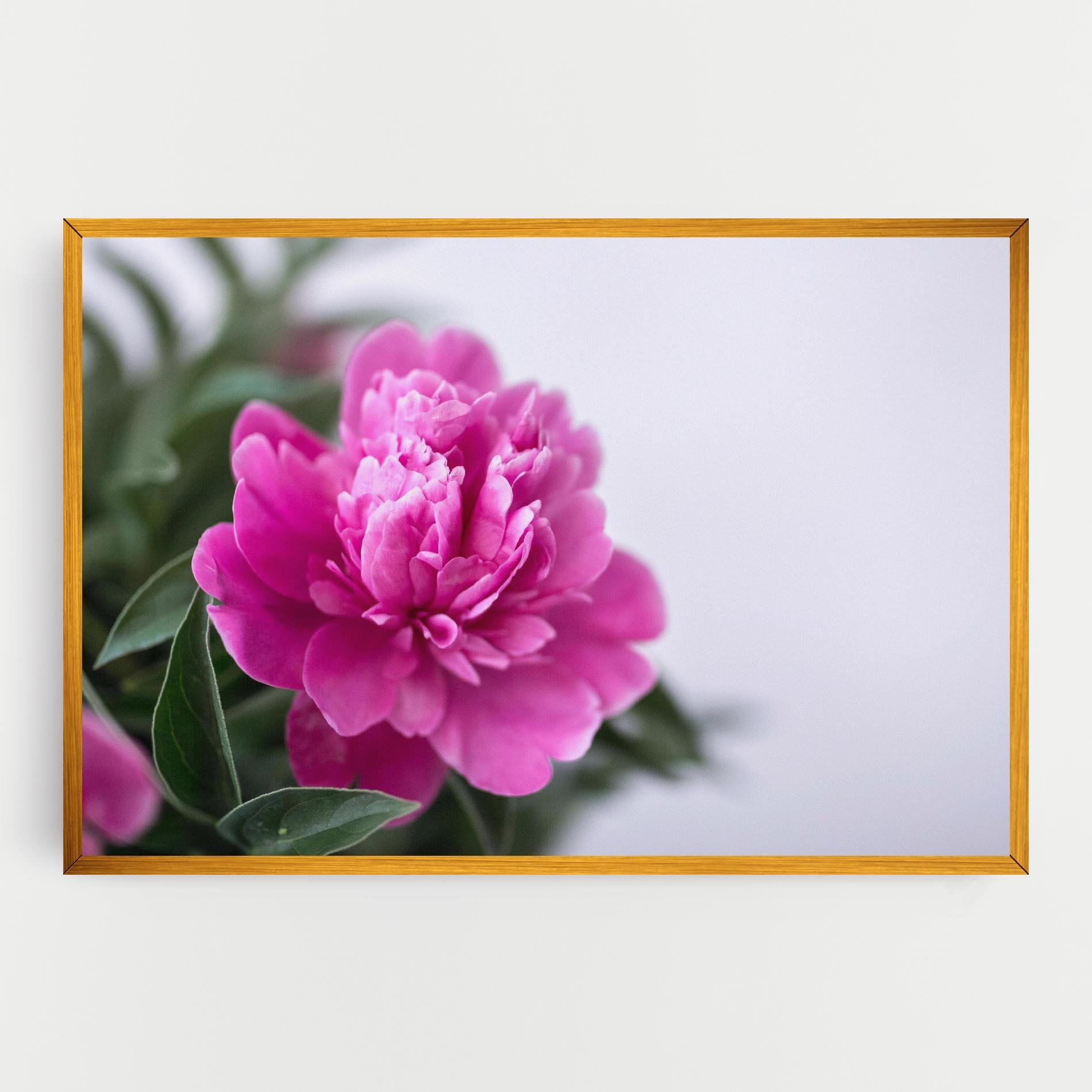 Картина на платно Dark Pink Peony mockup 0