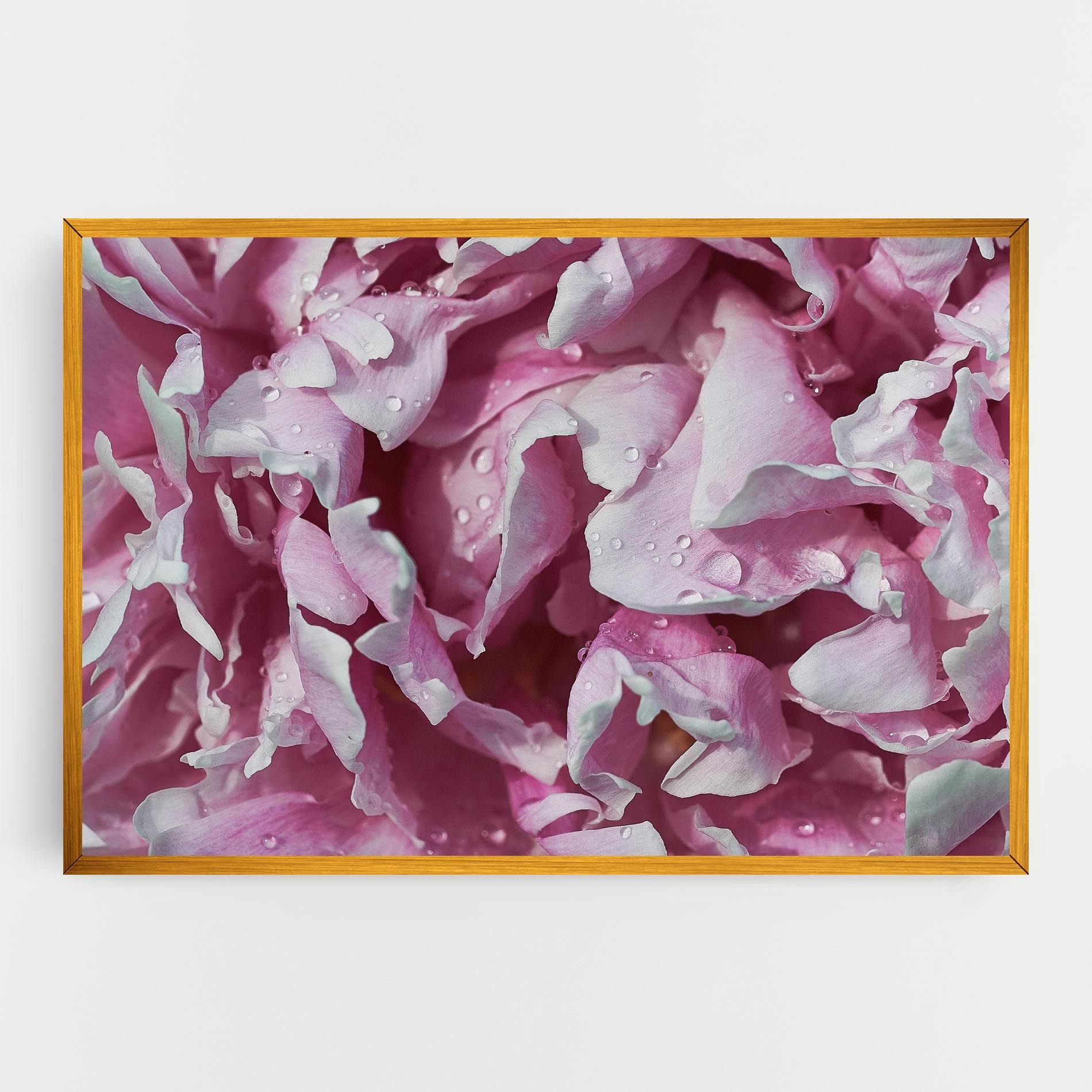 Peony Petals mockup 0