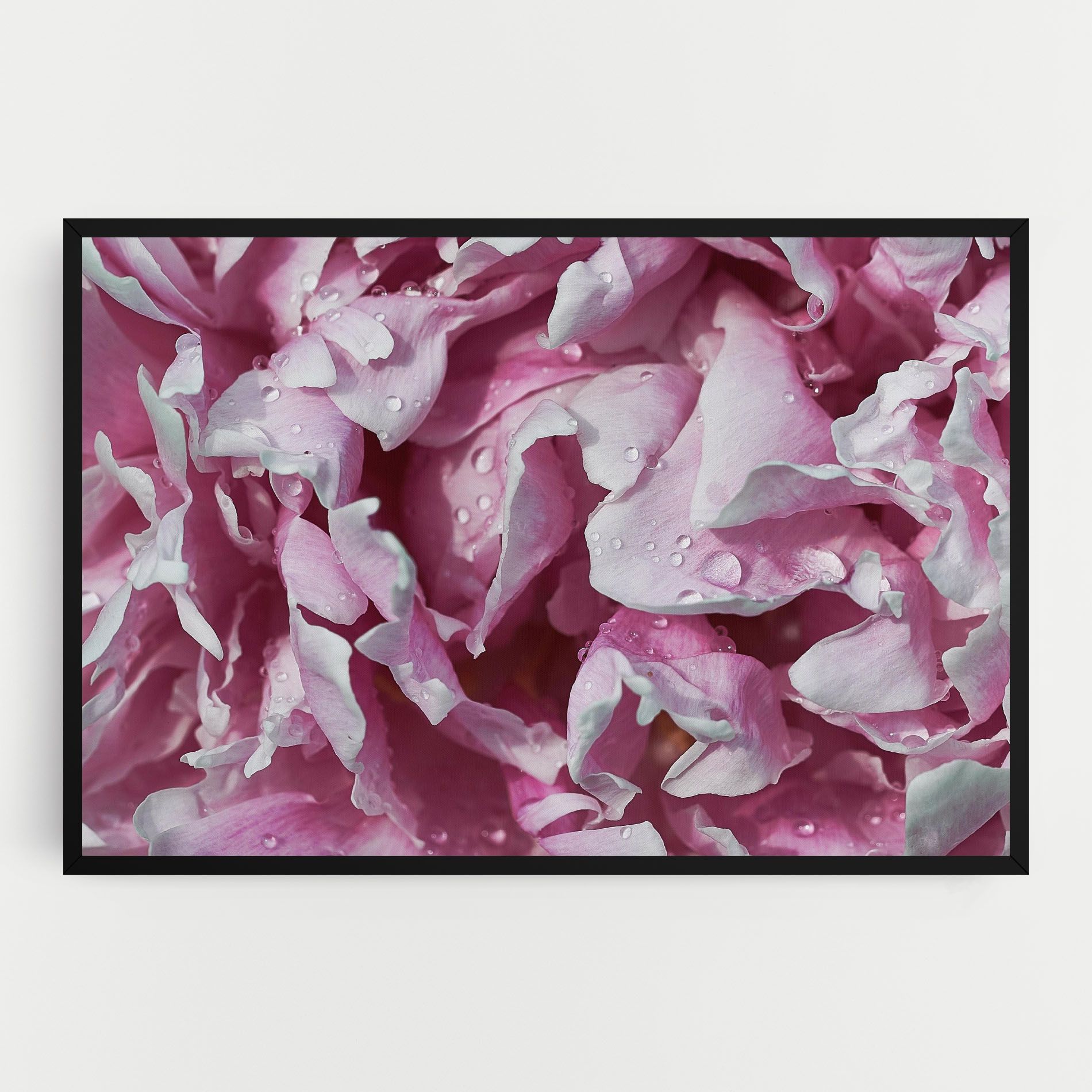 Peony Petals mockup 0
