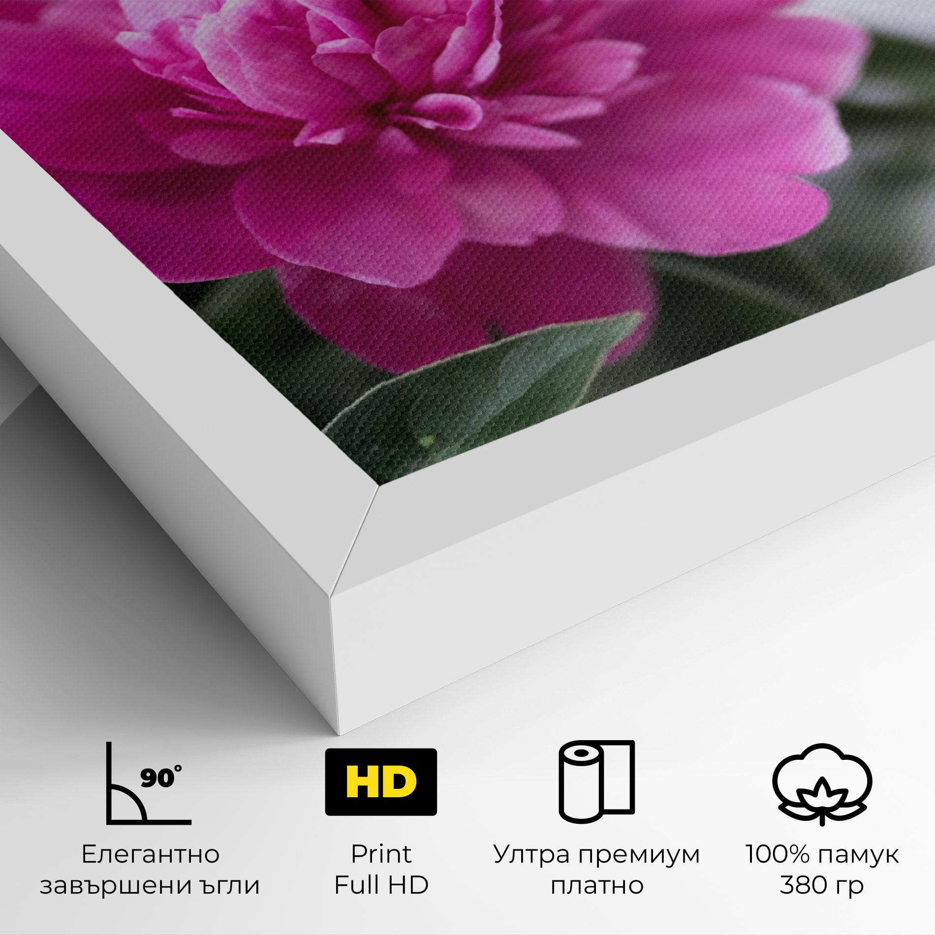 Картина на платно Dark Pink Peony mockup 4