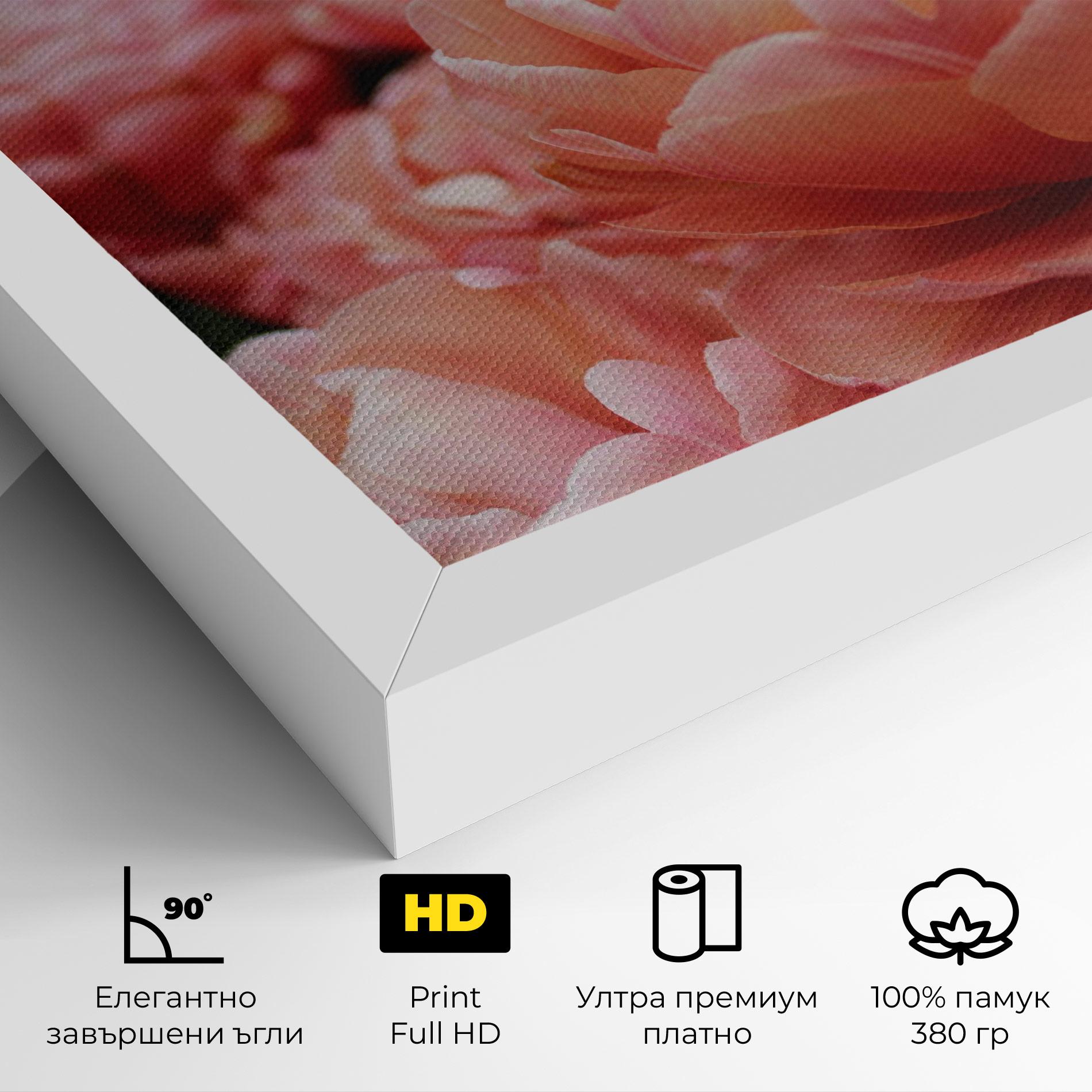 Картина на платно Light Orange Peony mockup 4
